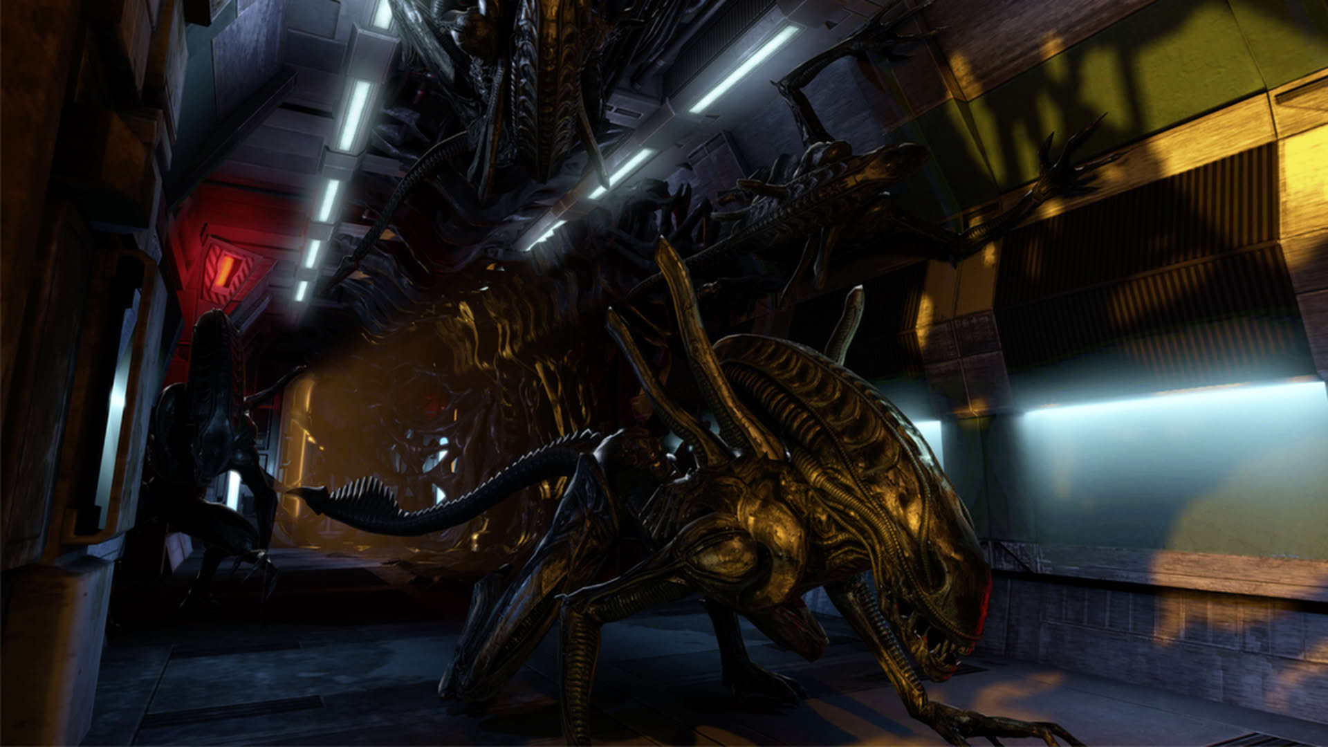 Screenshot for Aliens: Colonial Marines