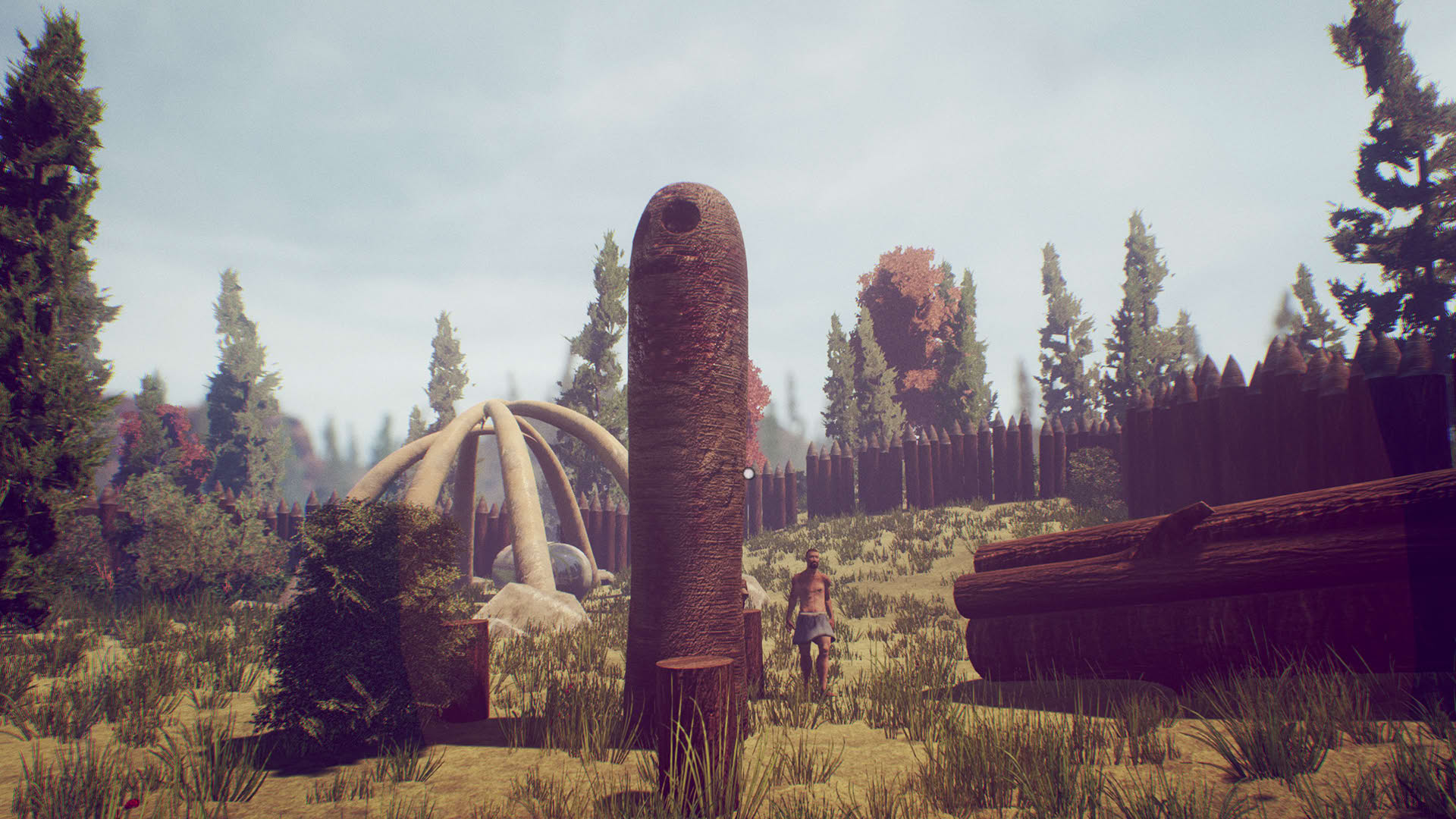 Screenshot for The Challenge