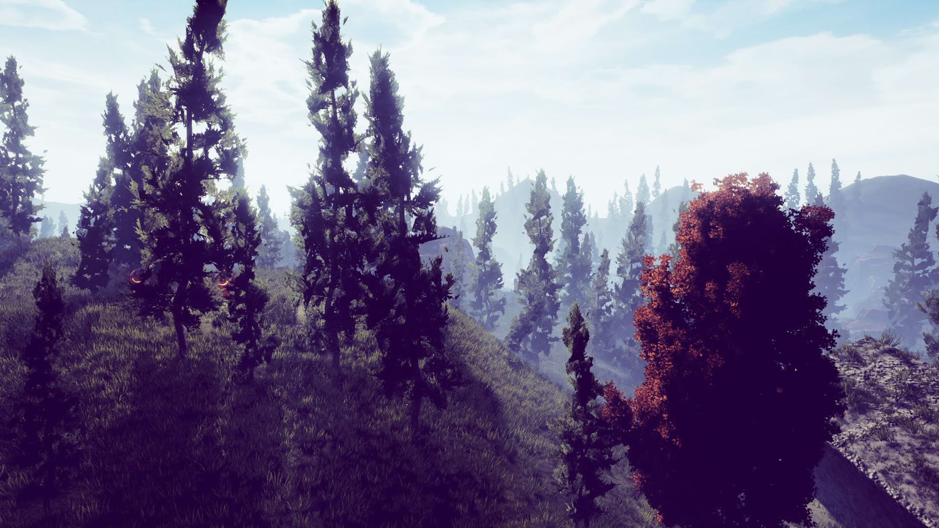 Screenshot for The Challenge
