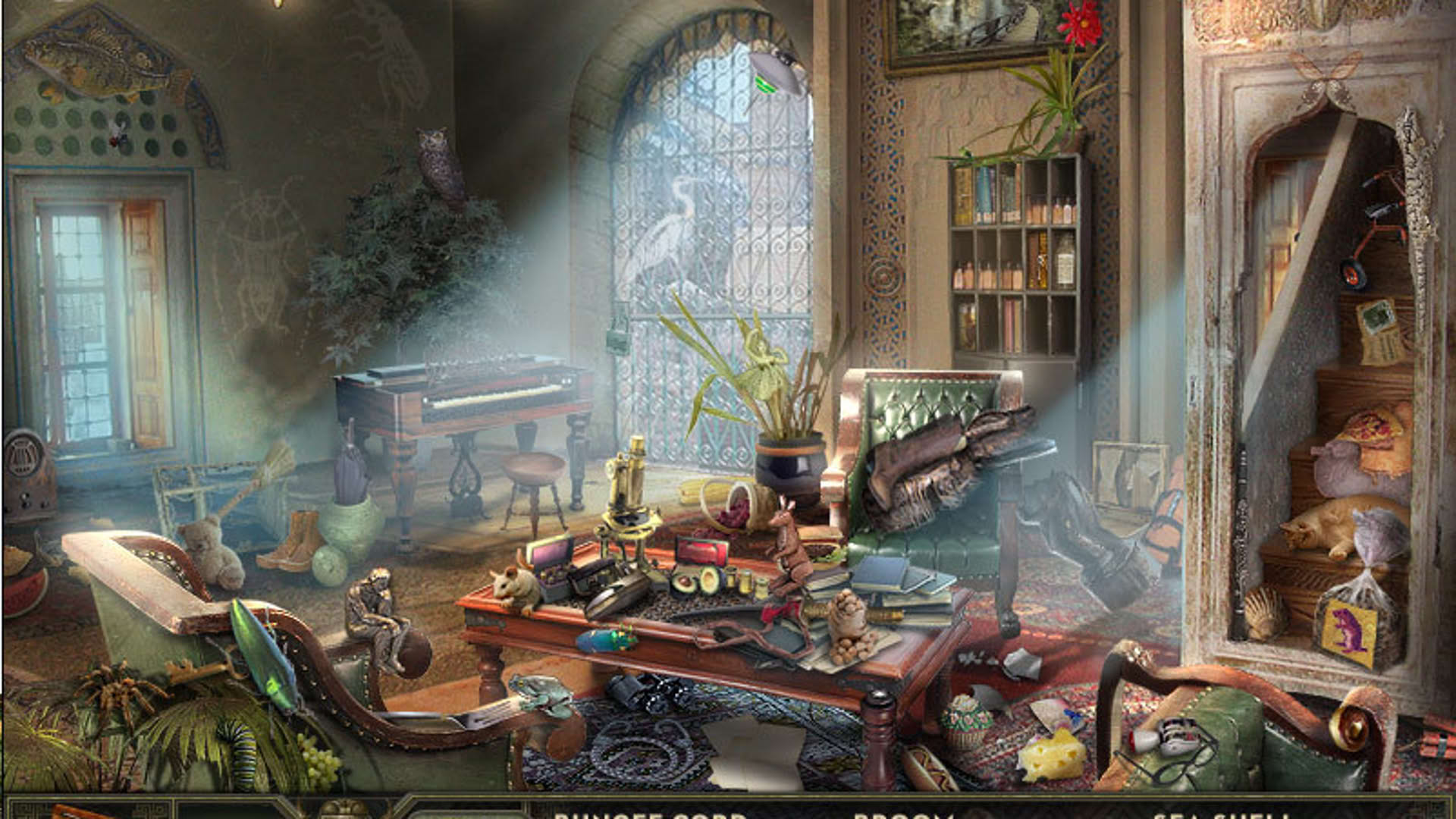 Screenshot for Hidden Expedition: Amazon
