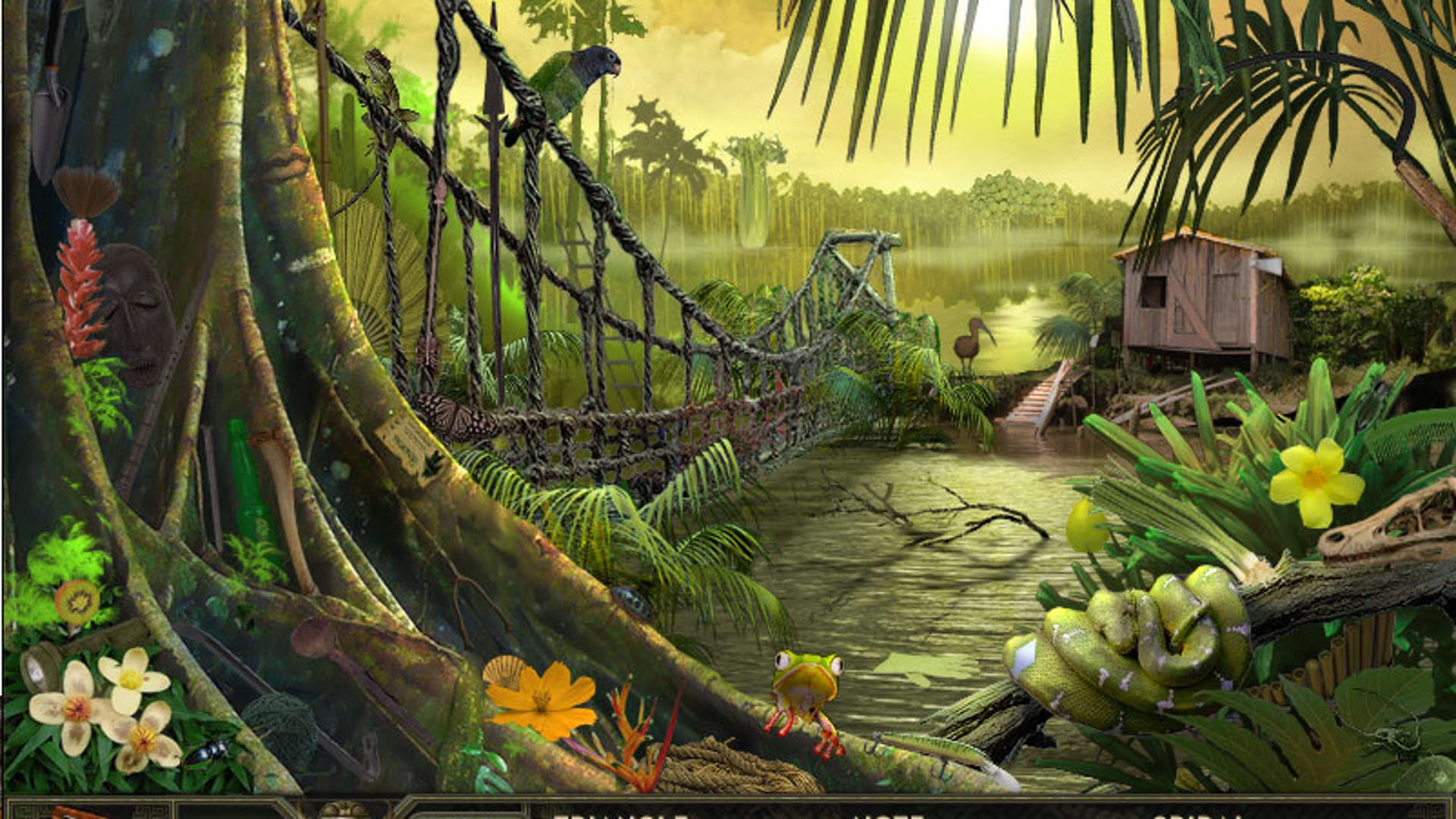 Screenshot for Hidden Expedition: Amazon