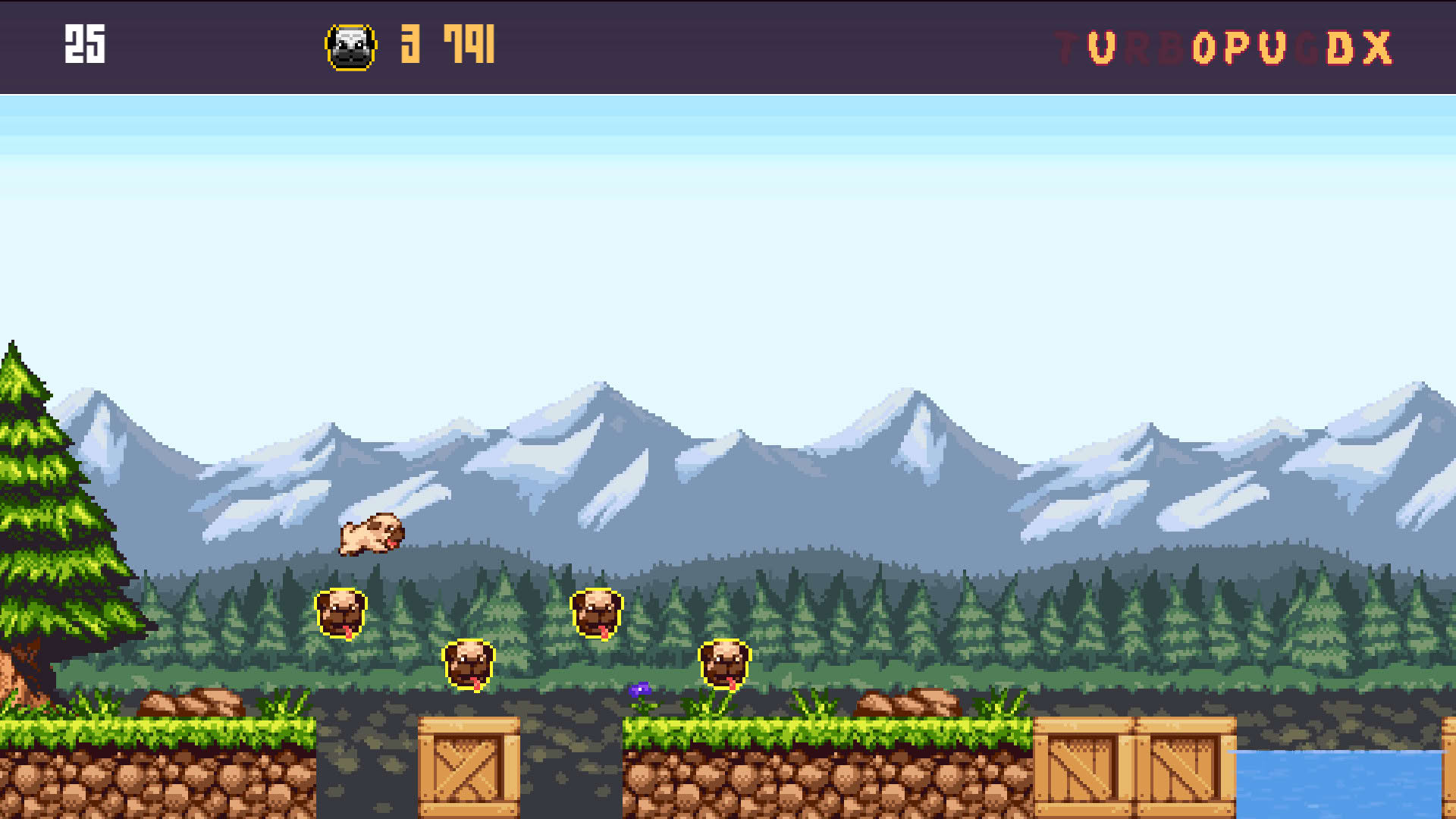 Screenshot for Turbo Pug DX