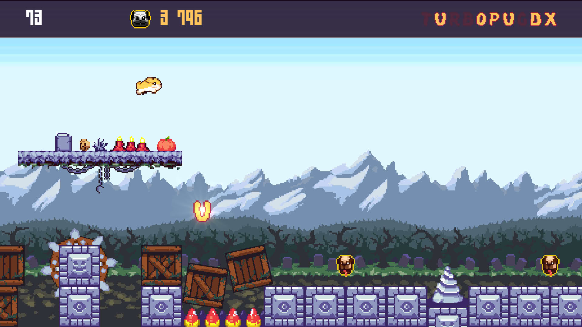 Screenshot for Turbo Pug DX