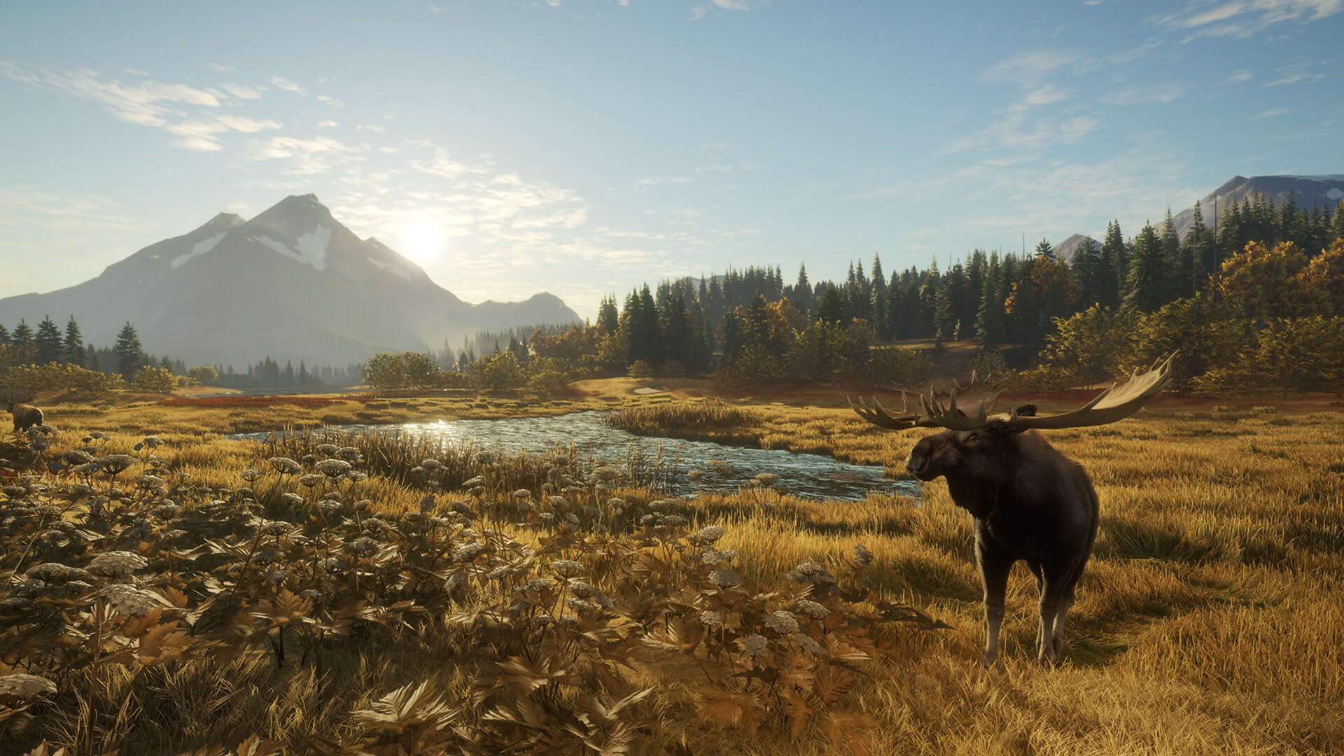 Screenshot for TheHunter: Call of the Wild