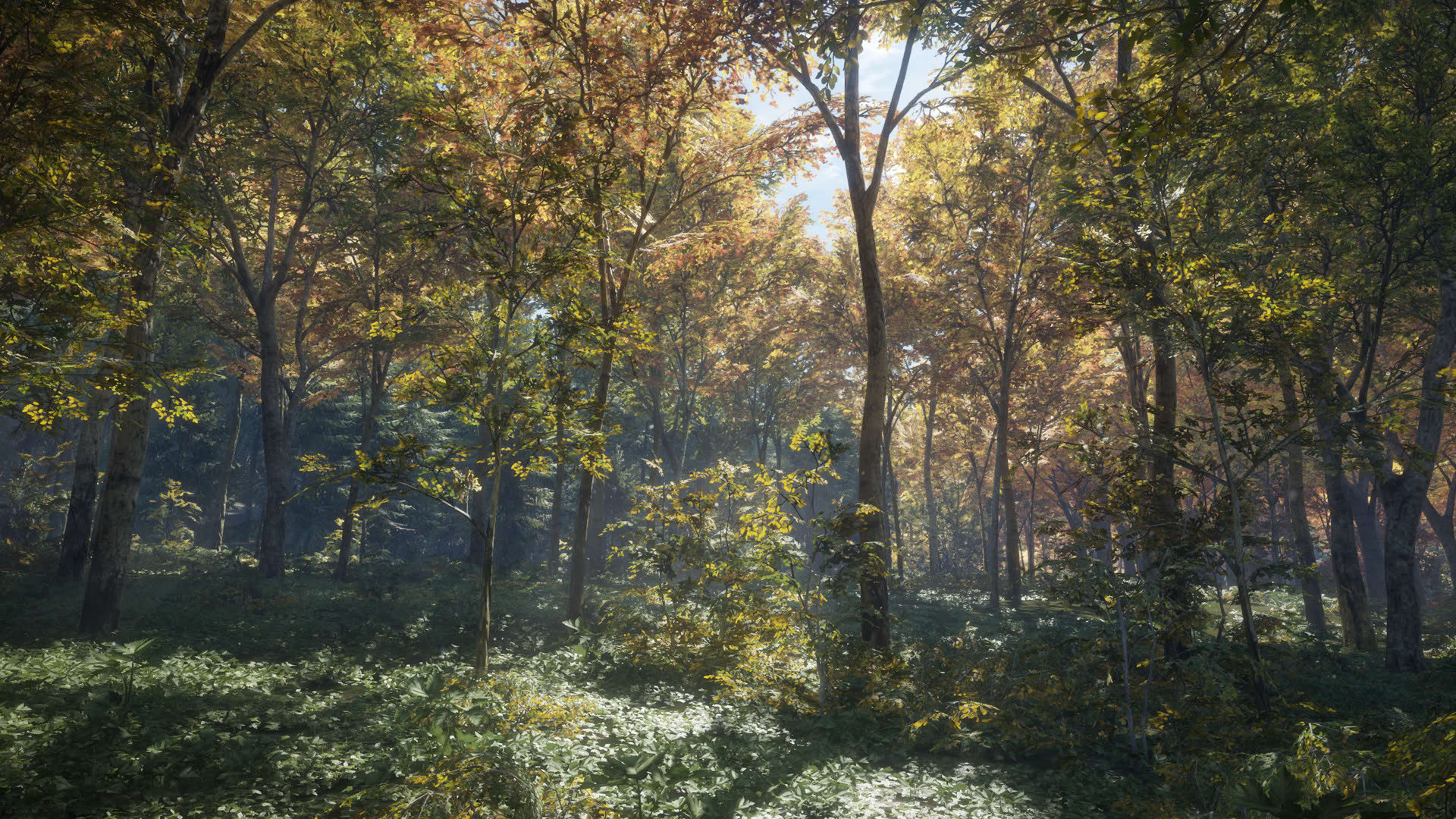 Screenshot for TheHunter: Call of the Wild