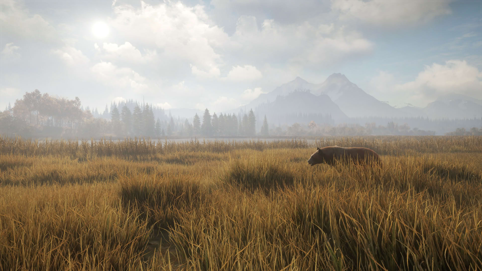 Screenshot for TheHunter: Call of the Wild