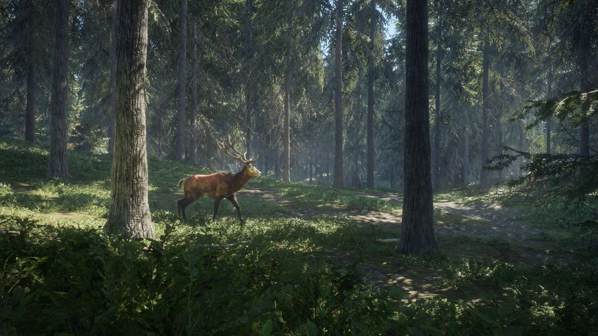Screenshot for TheHunter: Call of the Wild