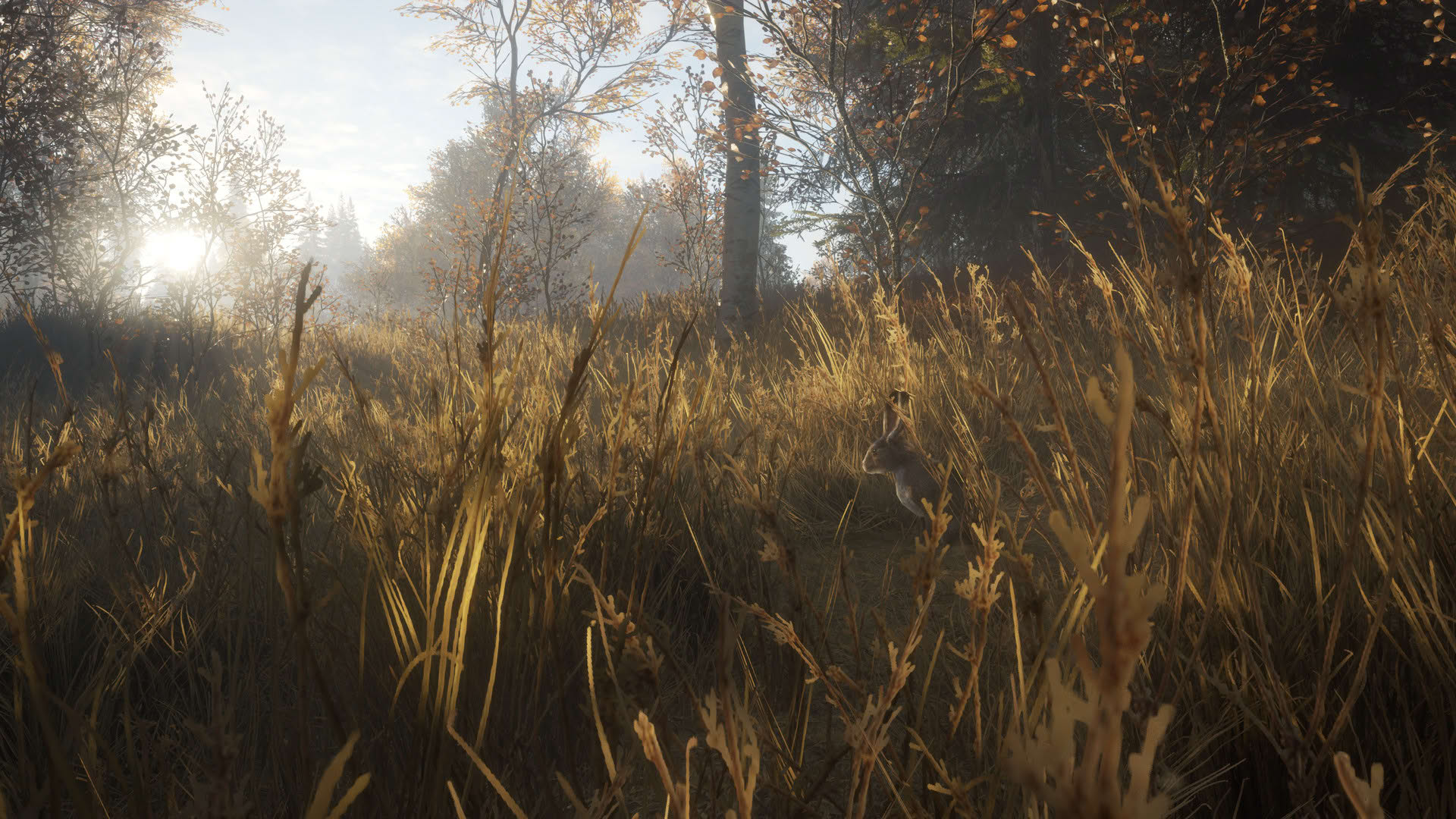 Screenshot for TheHunter: Call of the Wild