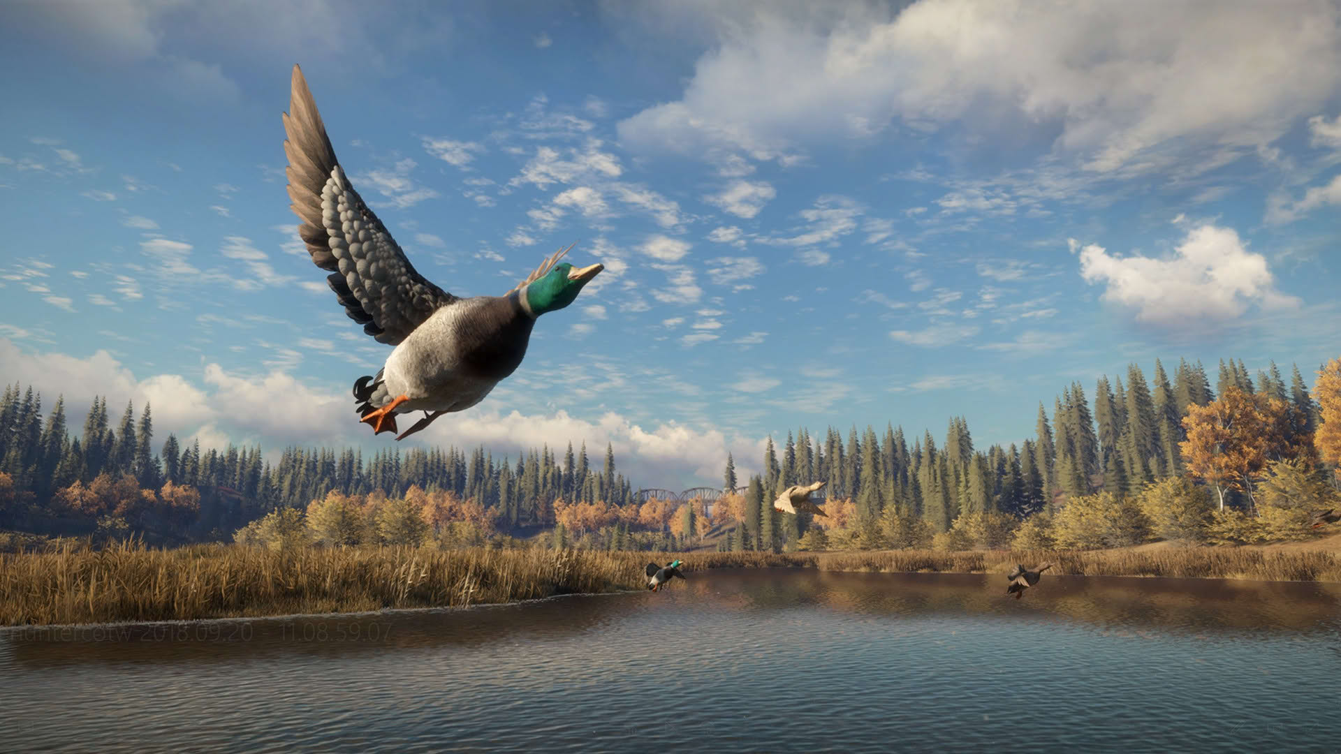 Screenshot for TheHunter: Call of the Wild