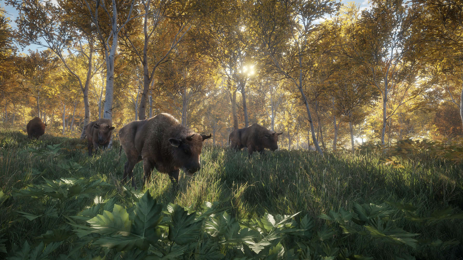 Screenshot for TheHunter: Call of the Wild
