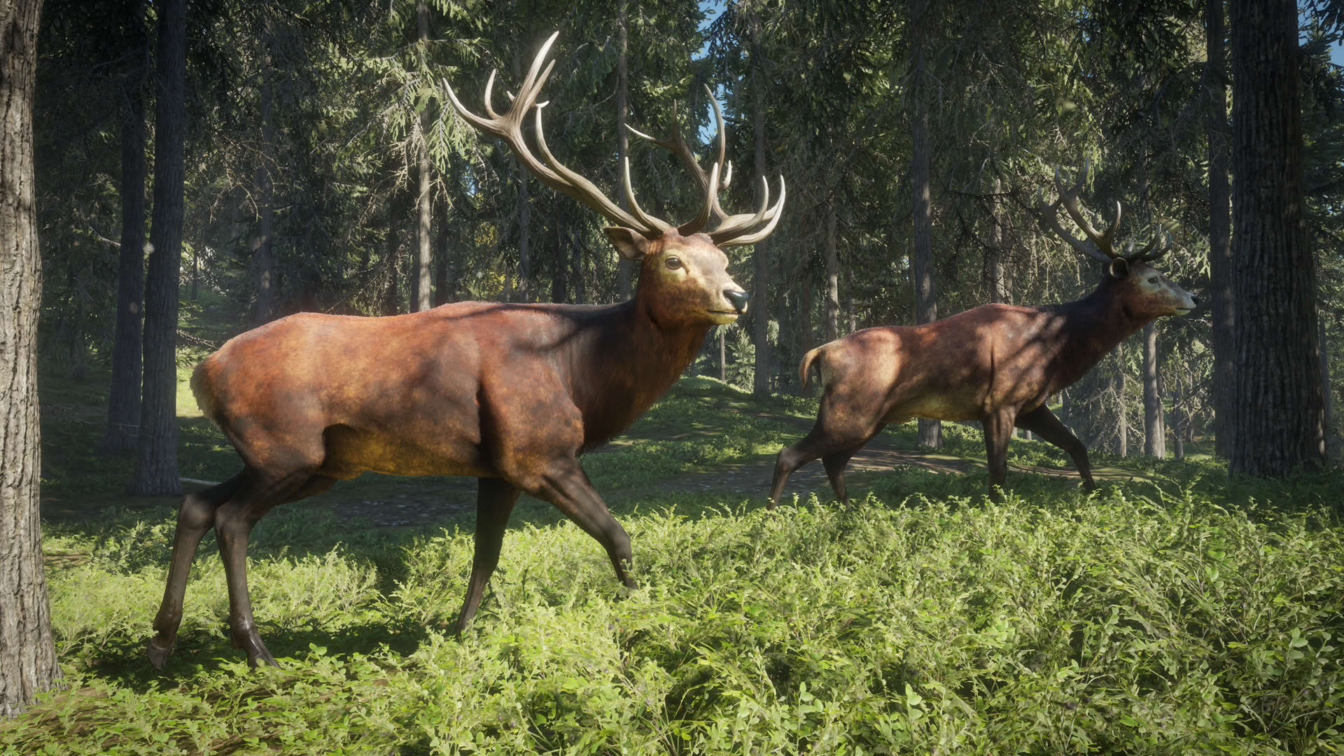 Screenshot for TheHunter: Call of the Wild