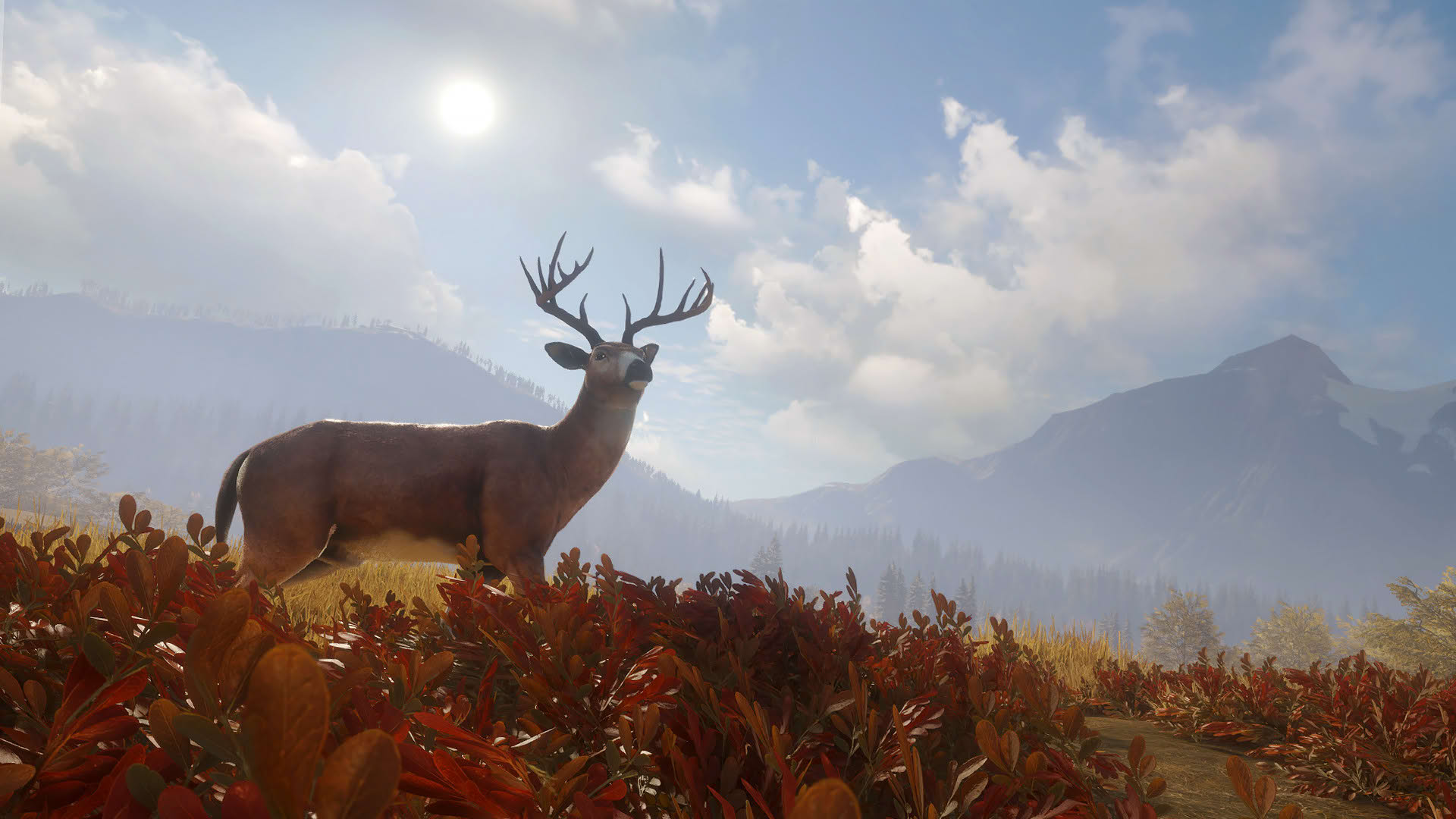 Screenshot for TheHunter: Call of the Wild