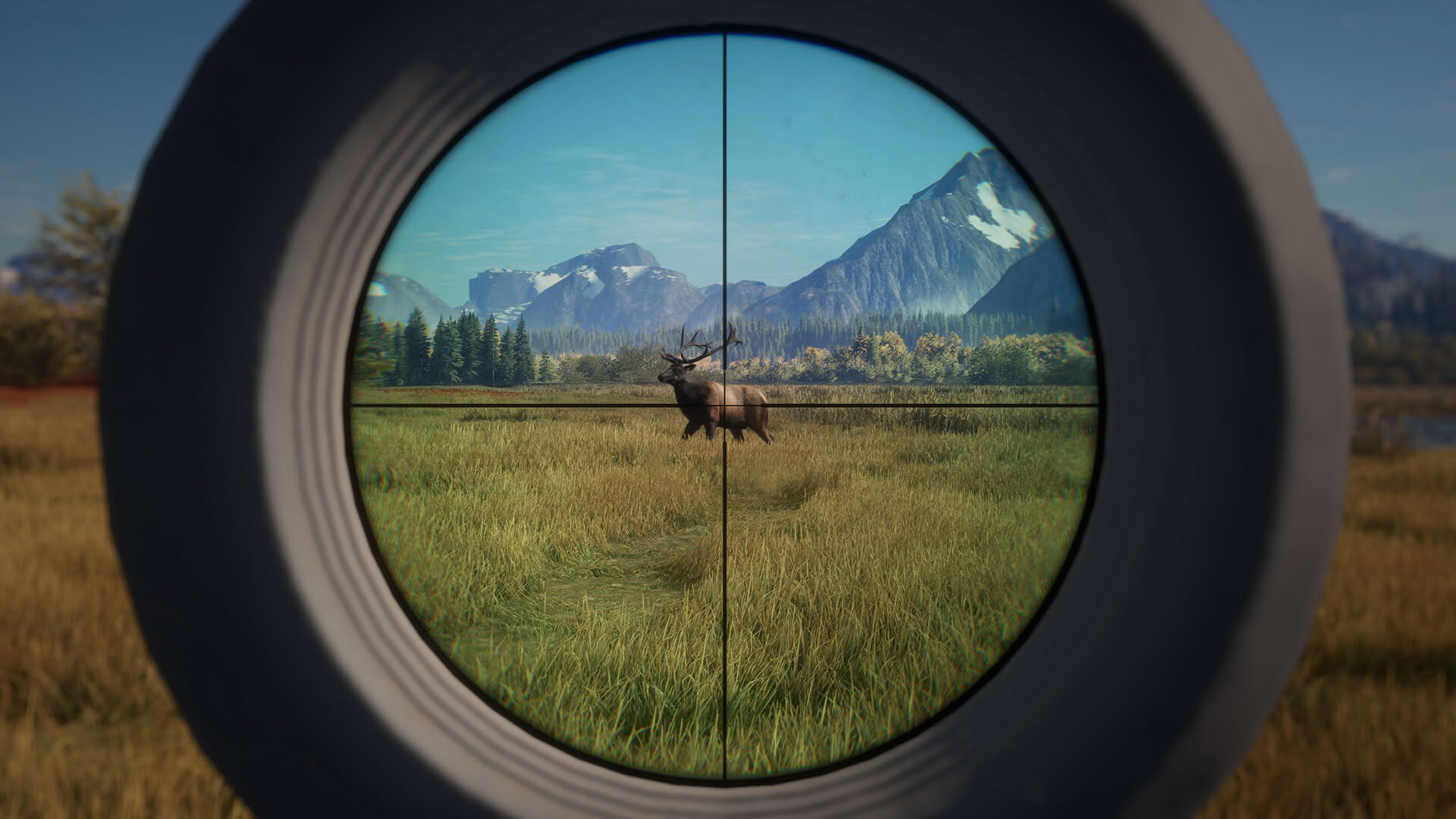 Screenshot for TheHunter: Call of the Wild