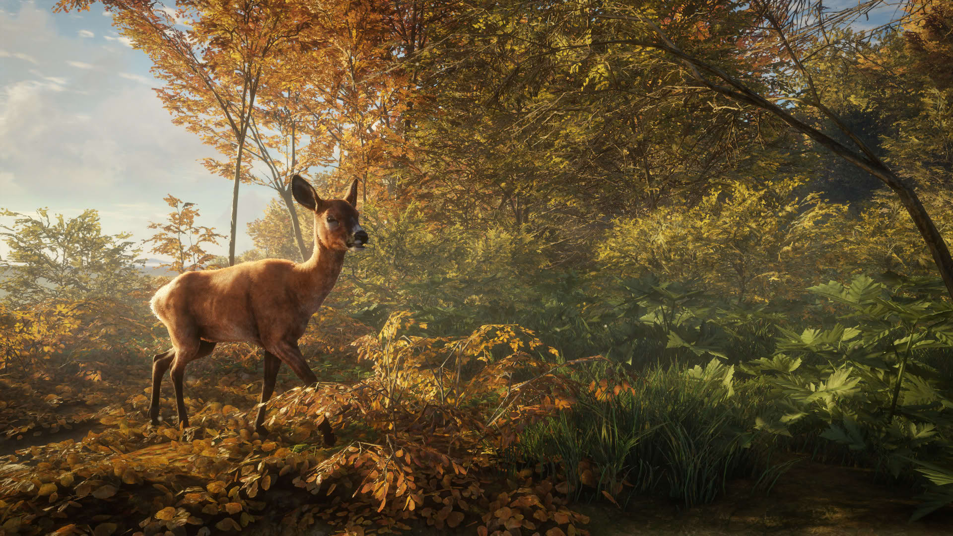 Screenshot for TheHunter: Call of the Wild