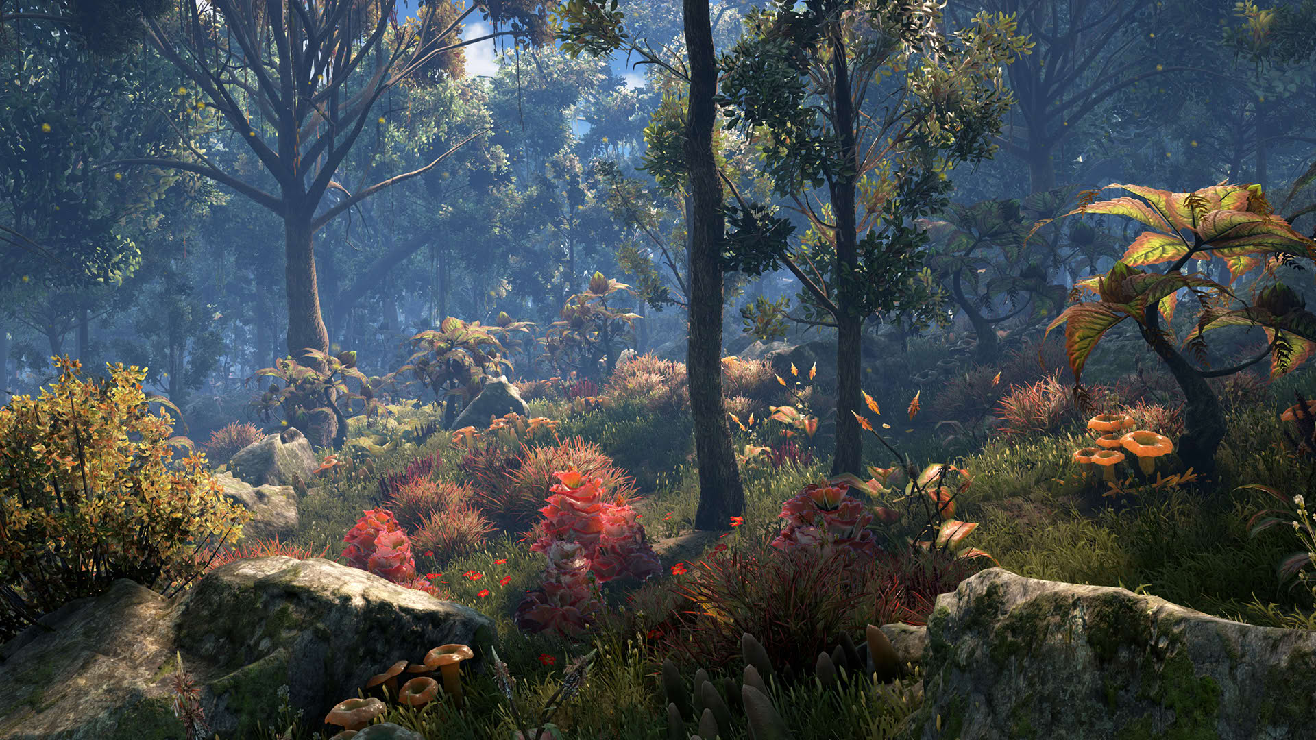 Screenshot for Dark and Light