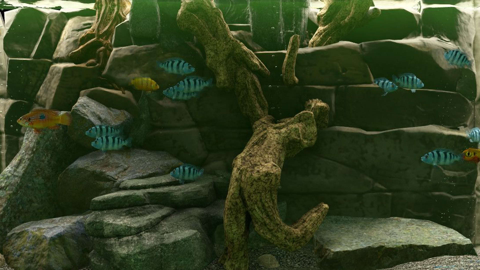Screenshot for Biotope: Aquarium Simulator