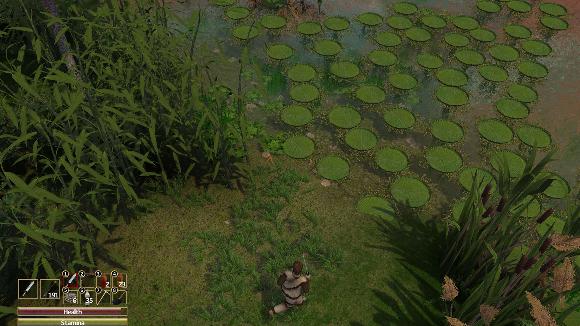 Screenshot for Force of Nature