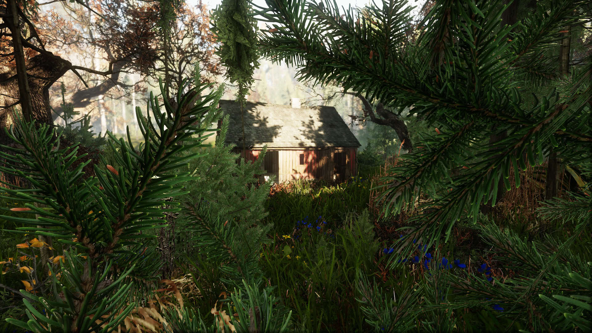Screenshot for The Land of Pain