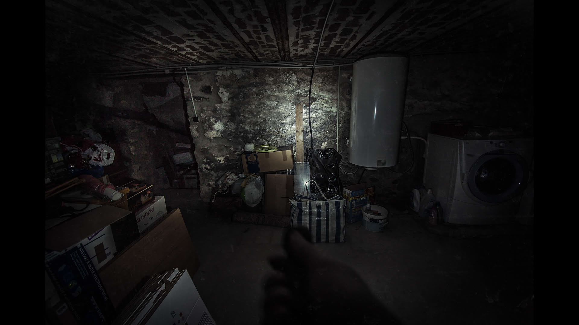 Screenshot for The Fan