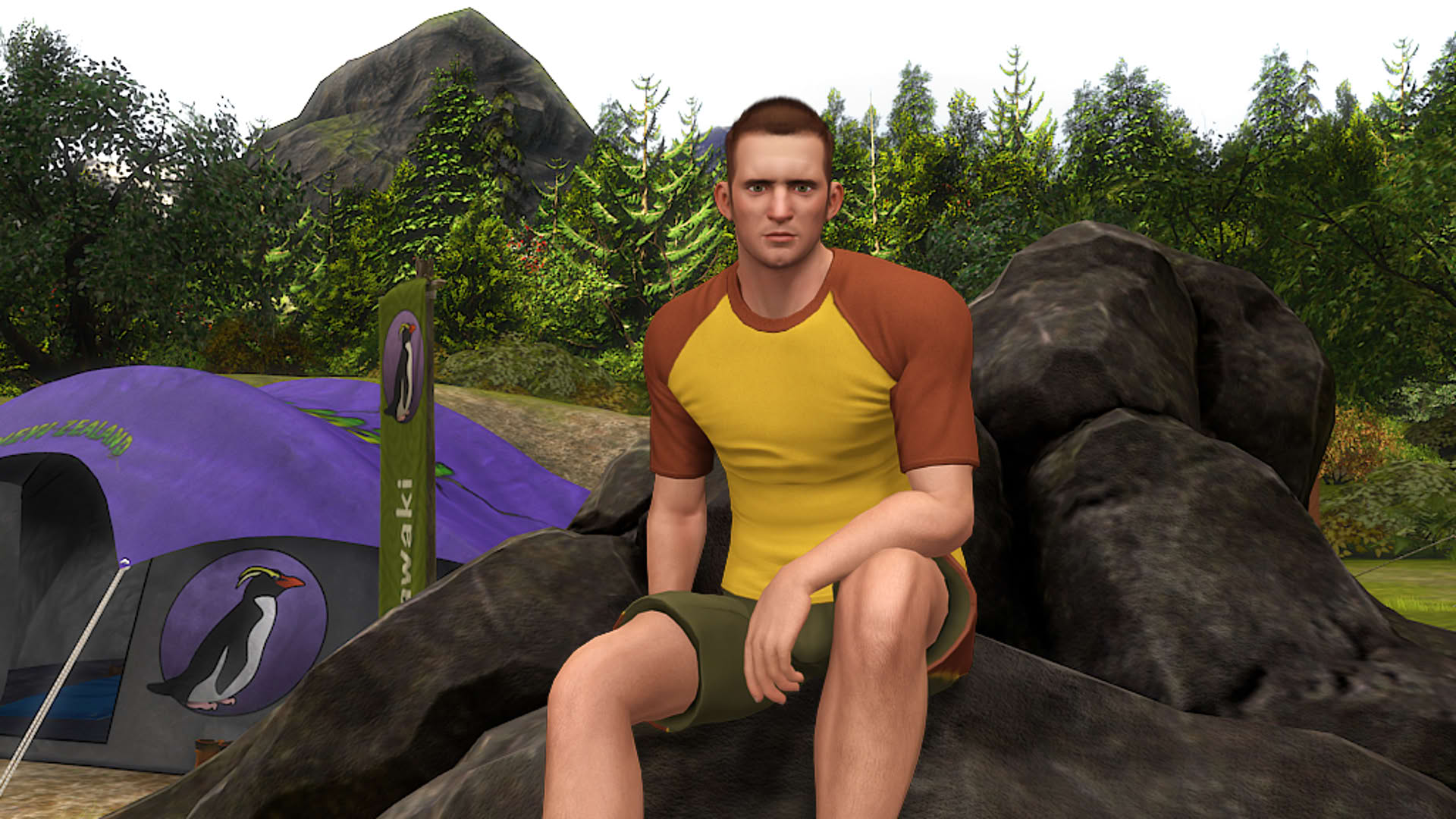 Screenshot for Nancy Drew: The Shattered Medallion