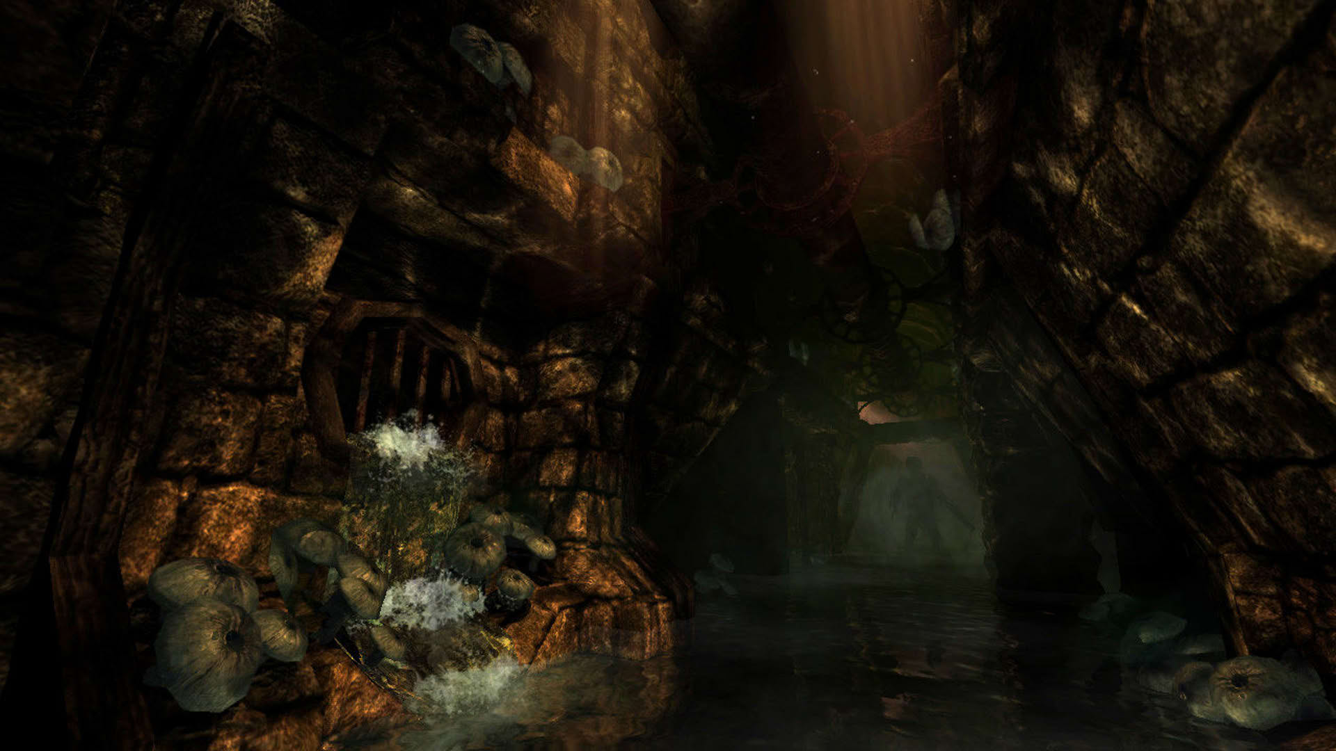 Screenshot for Amnesia: The Dark Descent