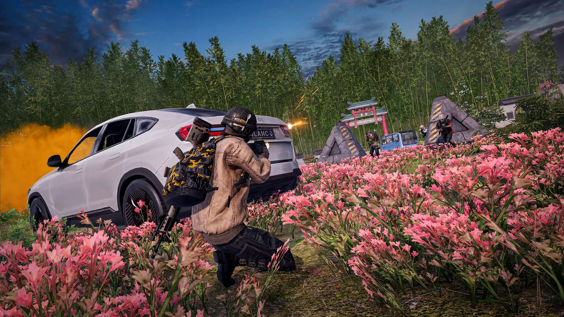 Screenshot for PUBG: Battlegrounds