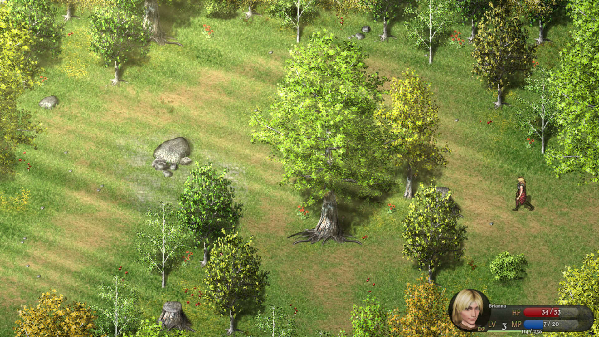 Screenshot for Cavern of Time