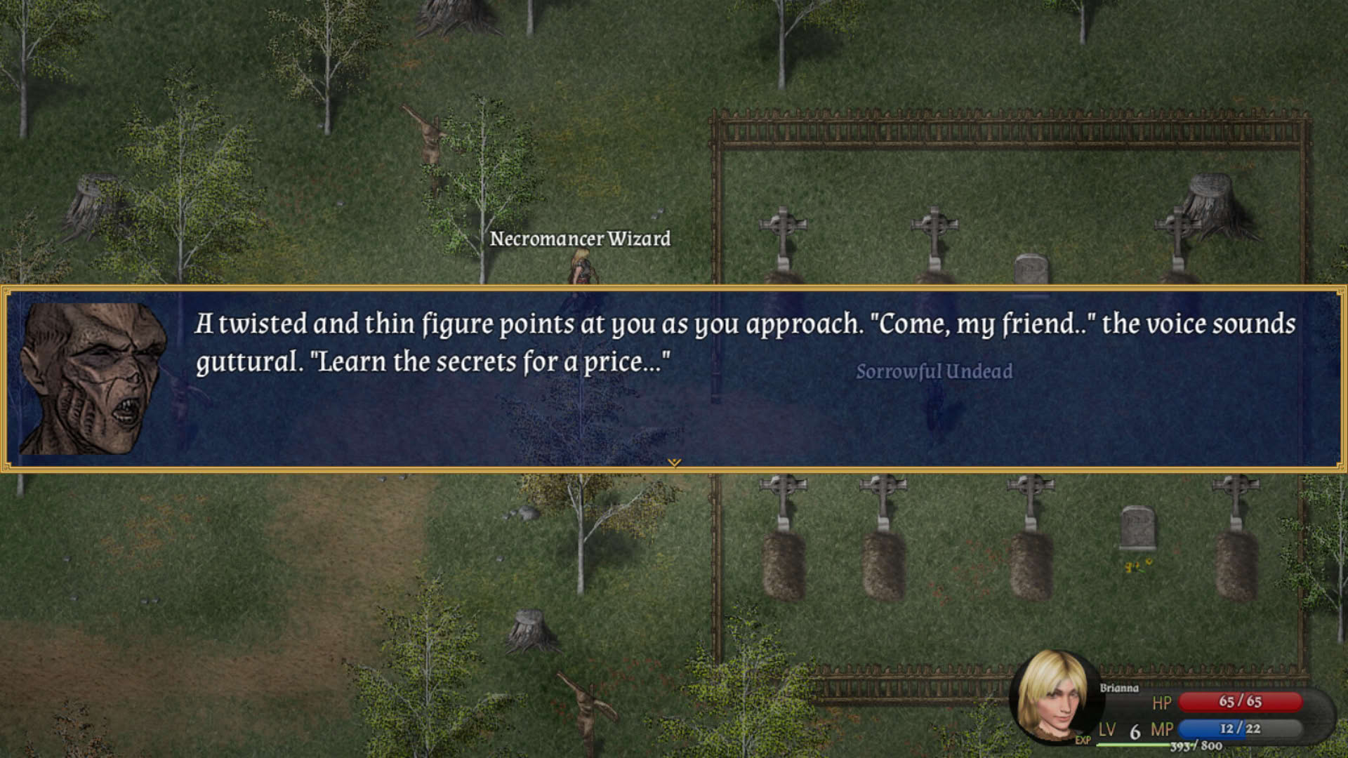 Screenshot for Cavern of Time