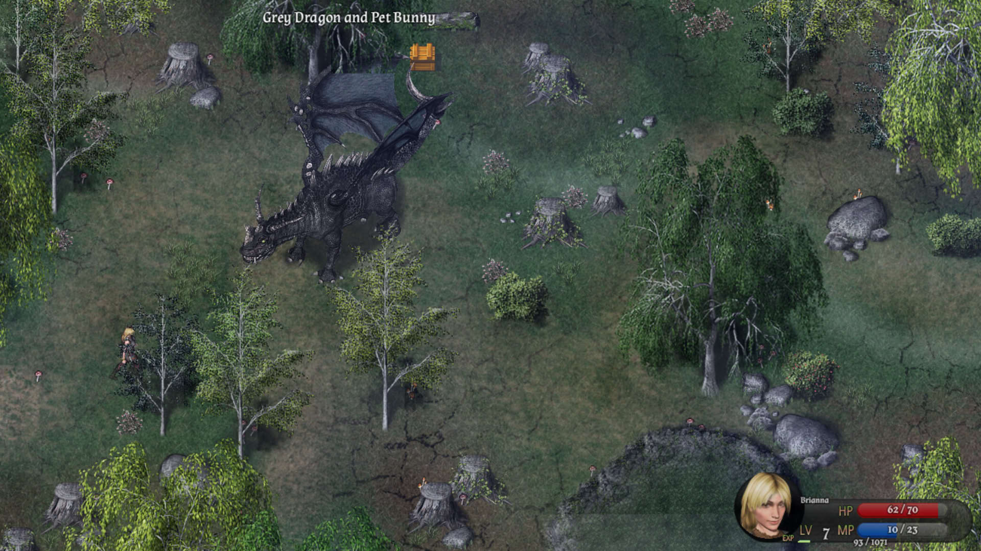 Screenshot for Cavern of Time