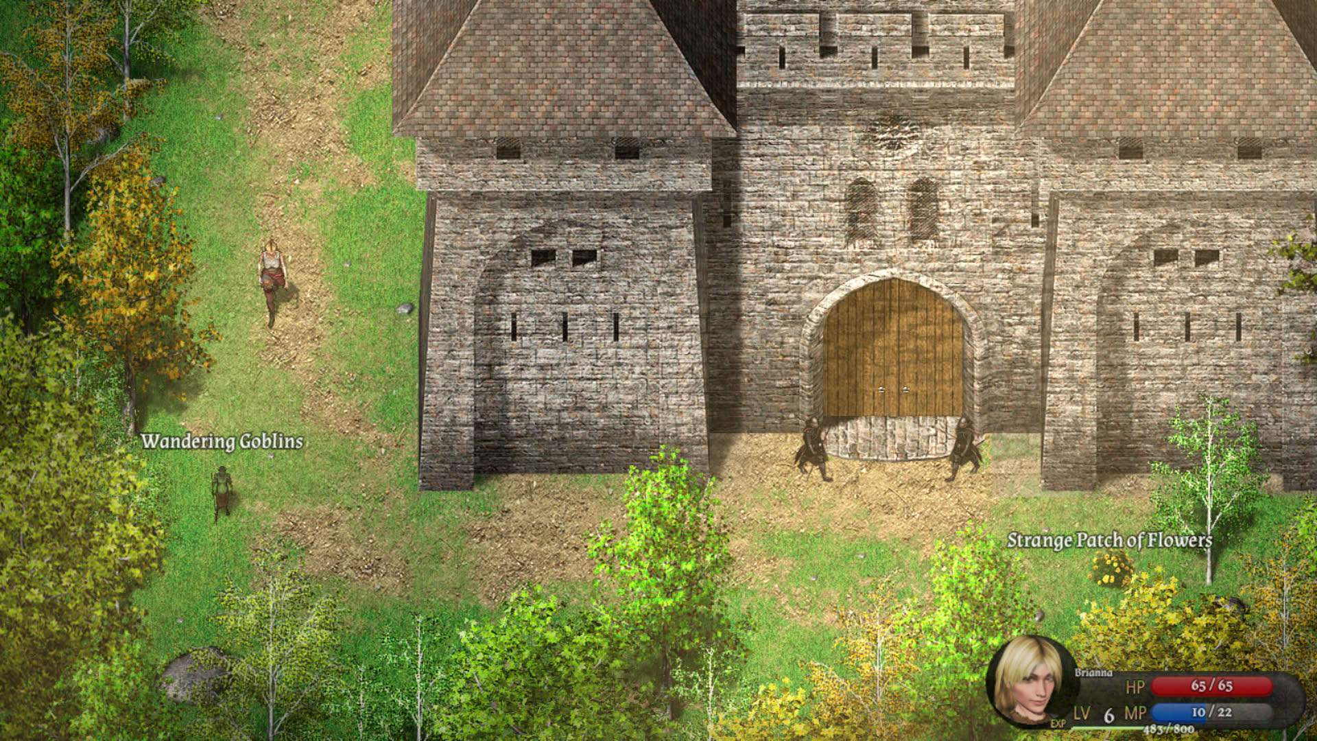 Screenshot for Cavern of Time