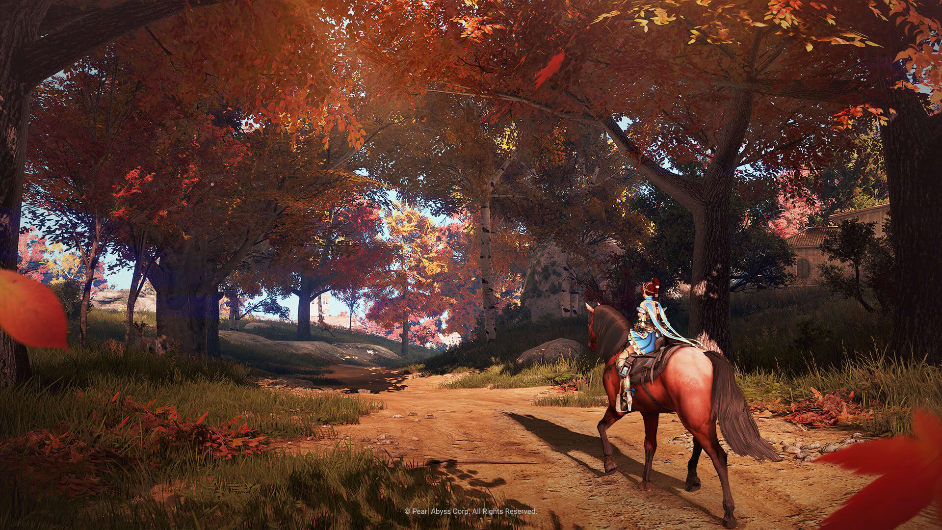 Screenshot for Black Desert