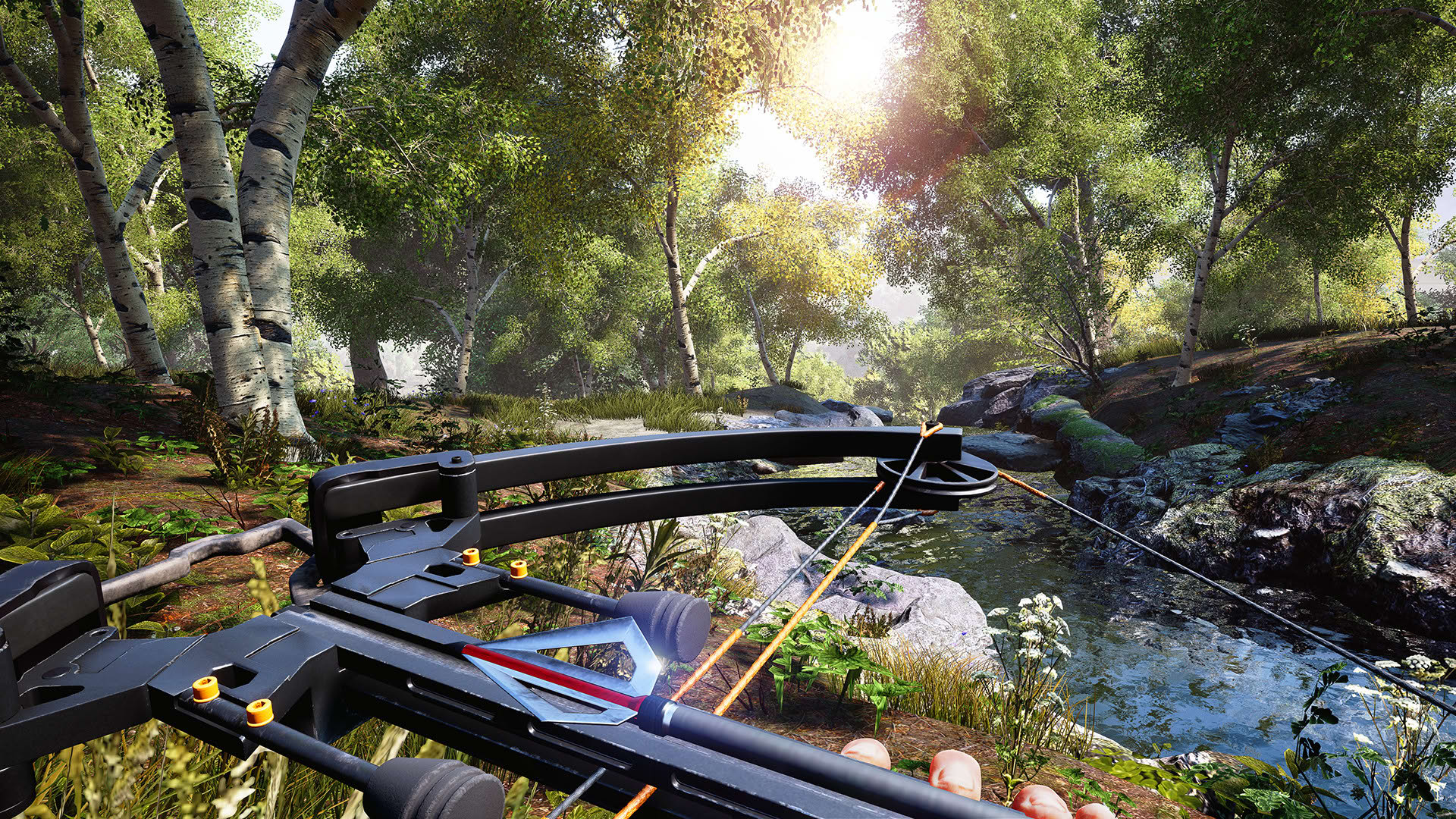 Screenshot for Hunting Simulator
