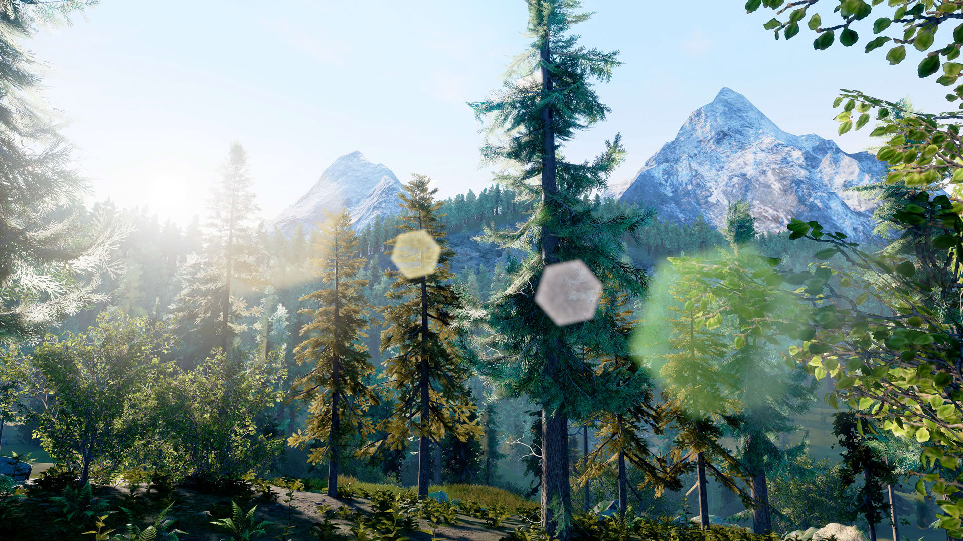 Screenshot for Hunting Simulator