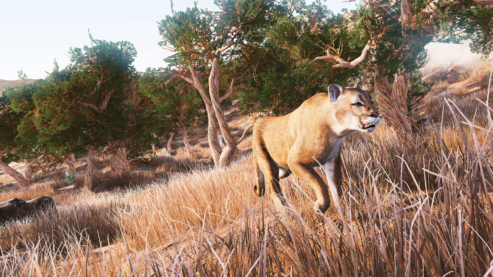 Screenshot for Hunting Simulator