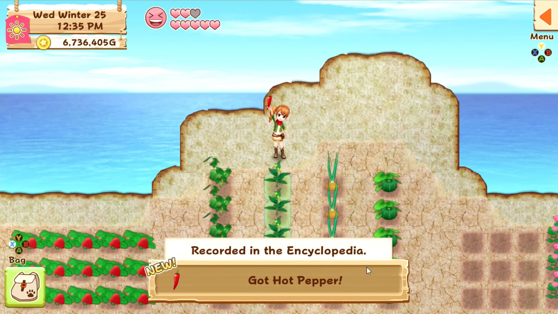 Screenshot for Harvest Moon: Light of Hope