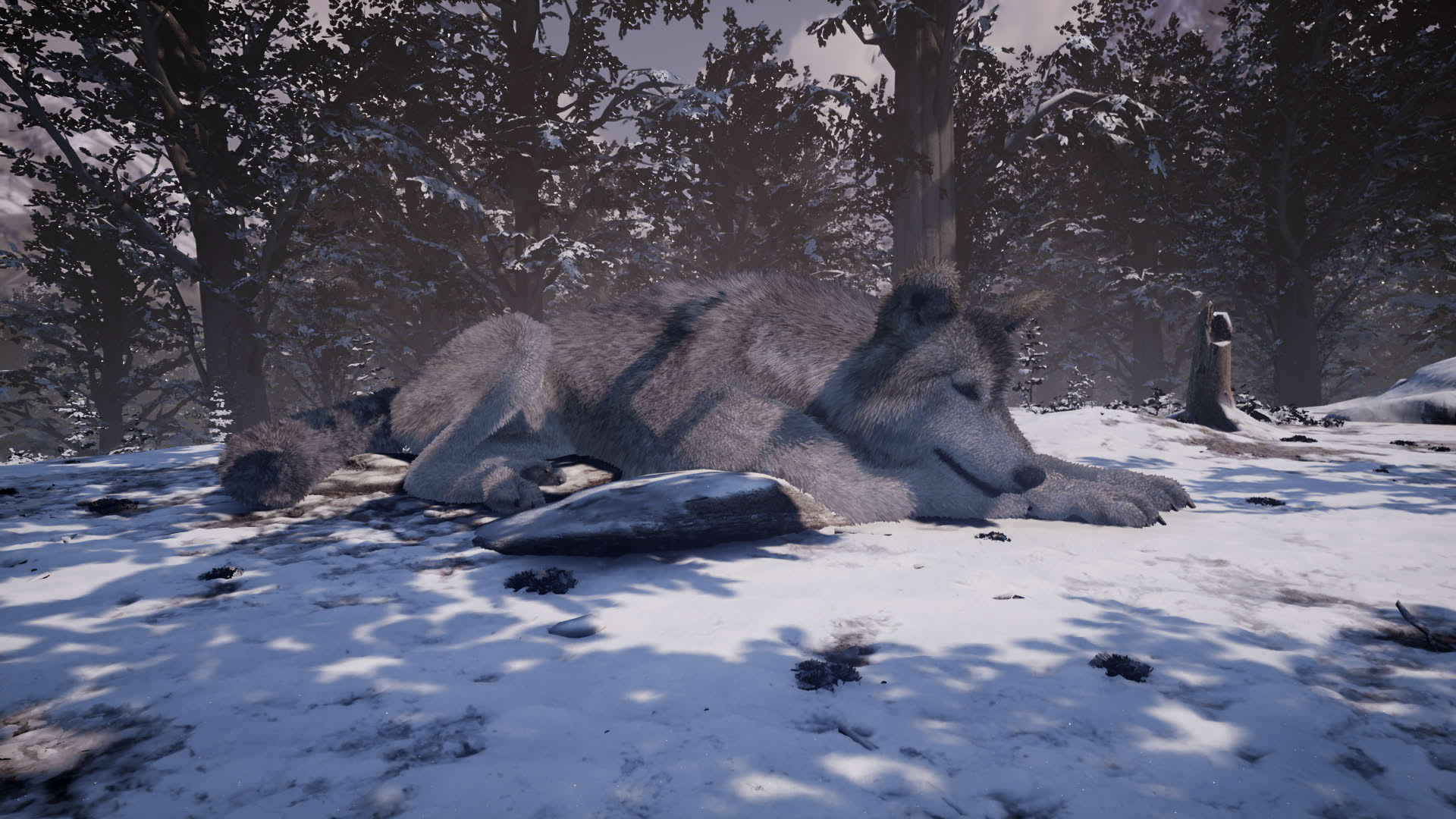Screenshot for Nephise