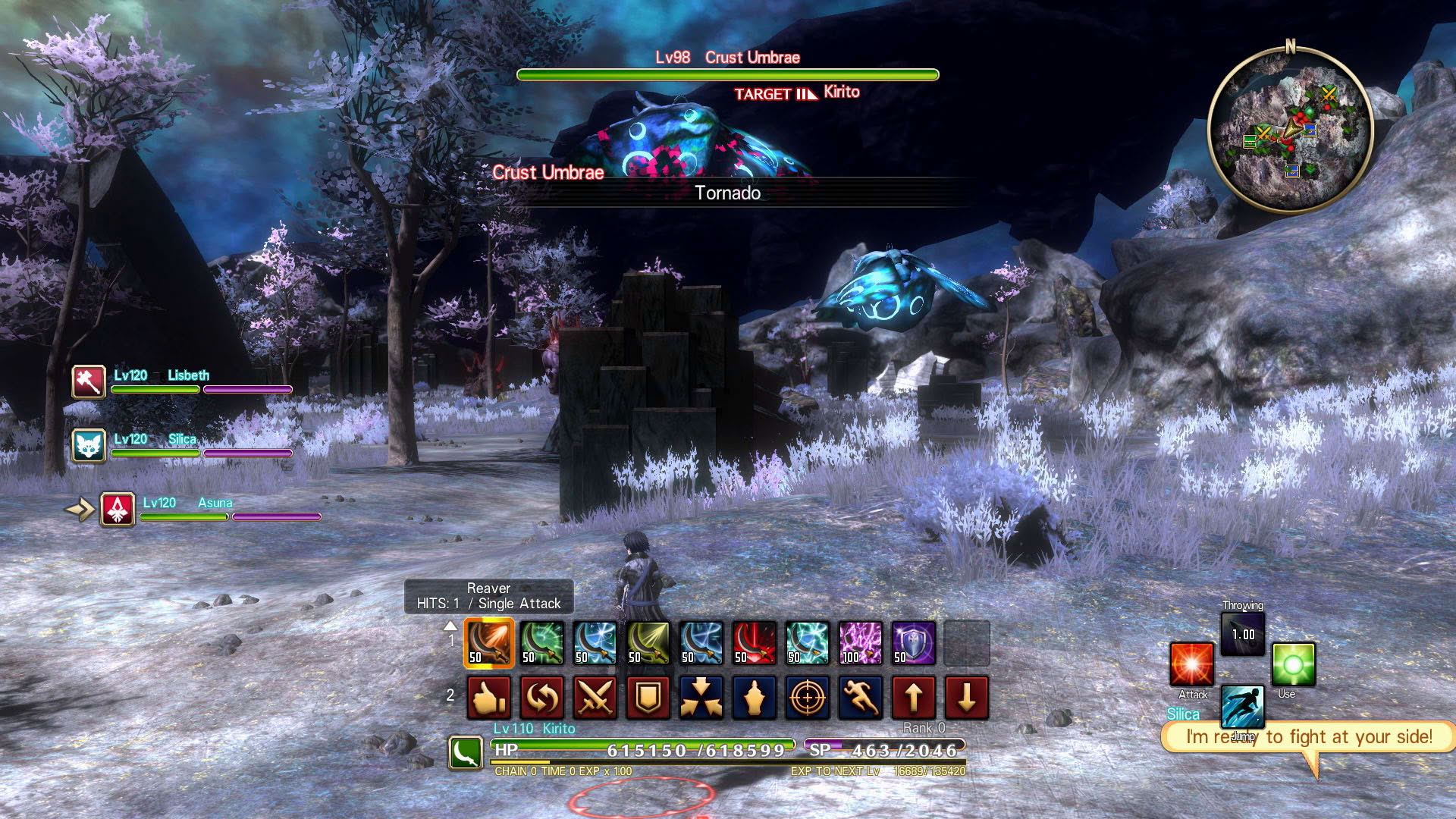 Screenshot for Sword Art Online: Hollow Realization