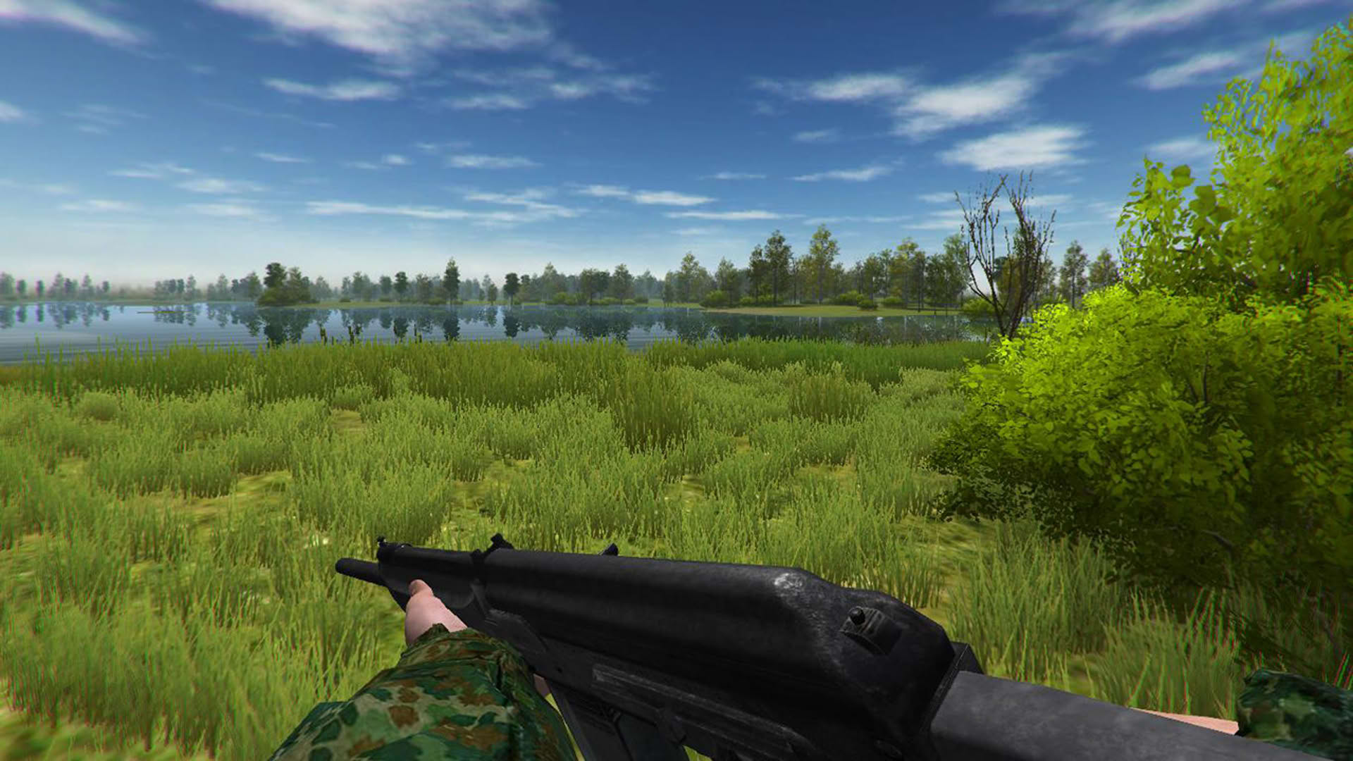 Screenshot for Duck Hunting