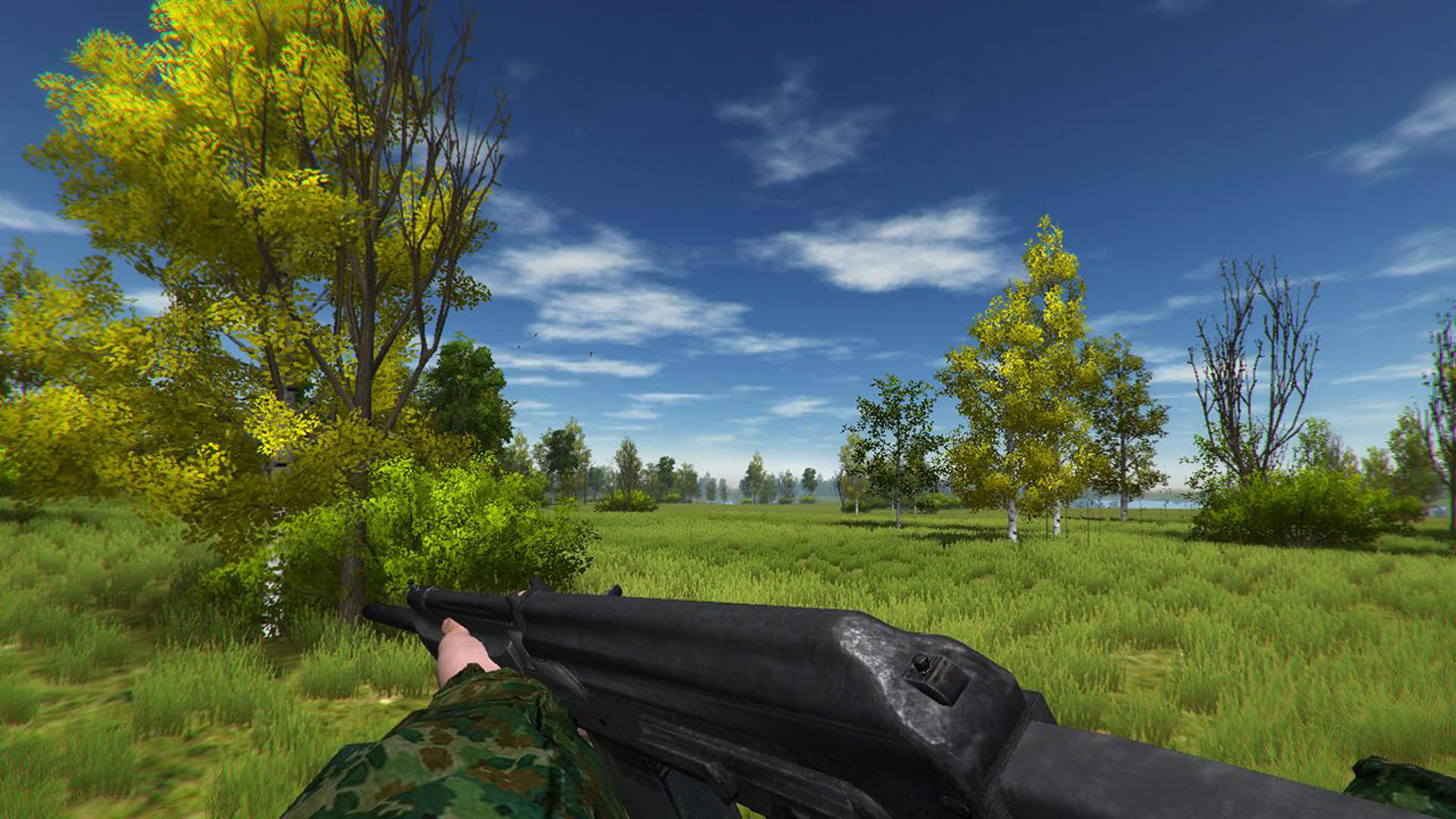 Screenshot for Duck Hunting