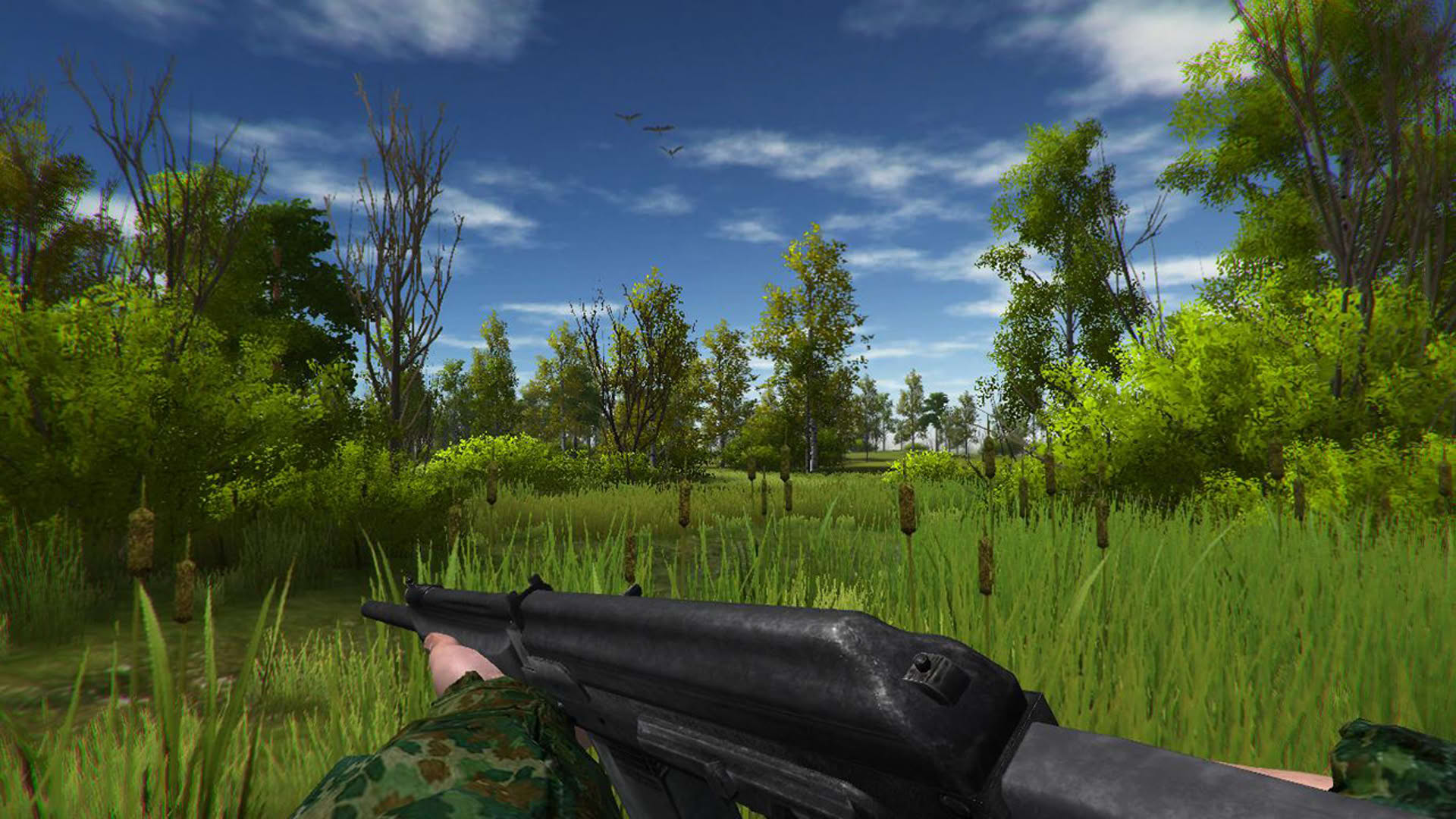 Screenshot for Duck Hunting