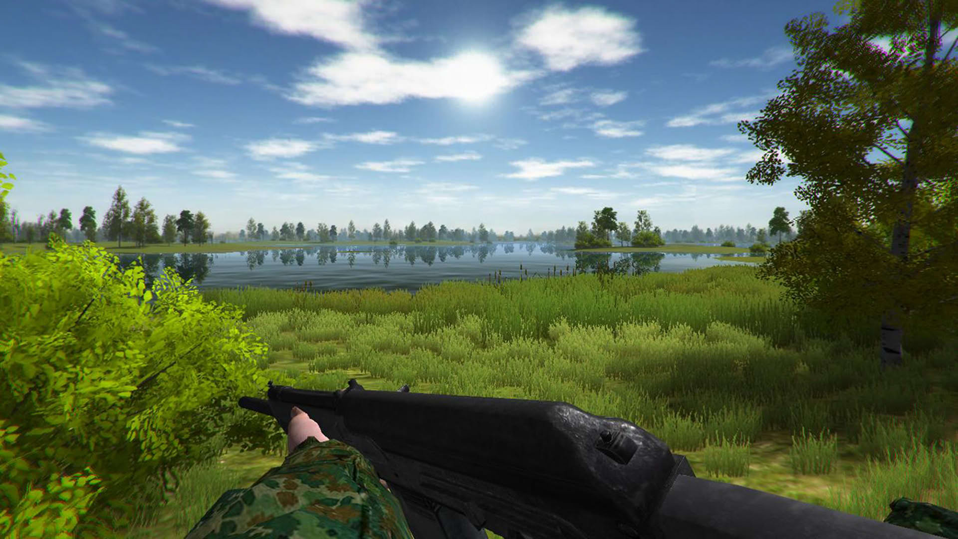 Screenshot for Duck Hunting