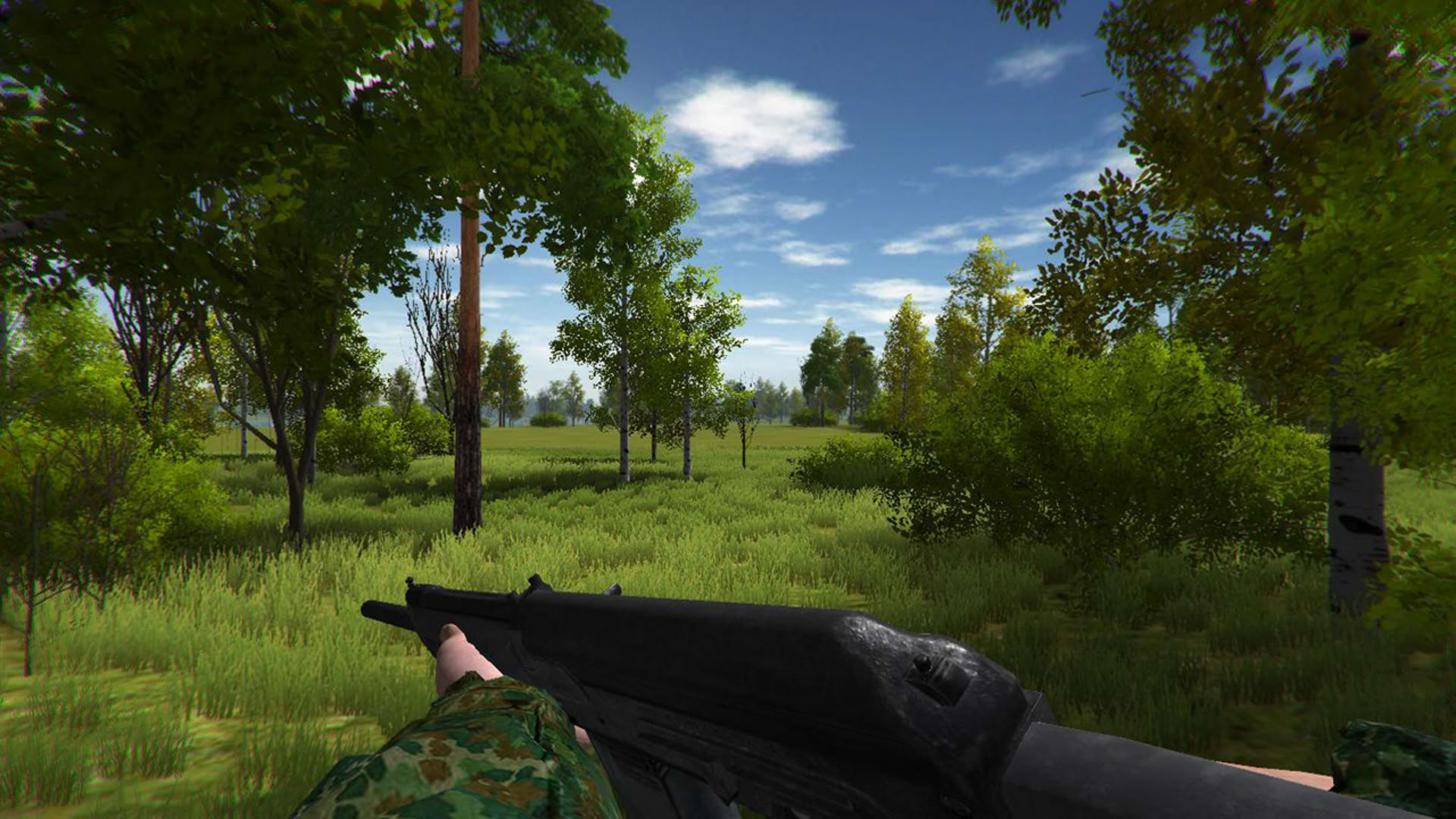 Screenshot for Duck Hunting