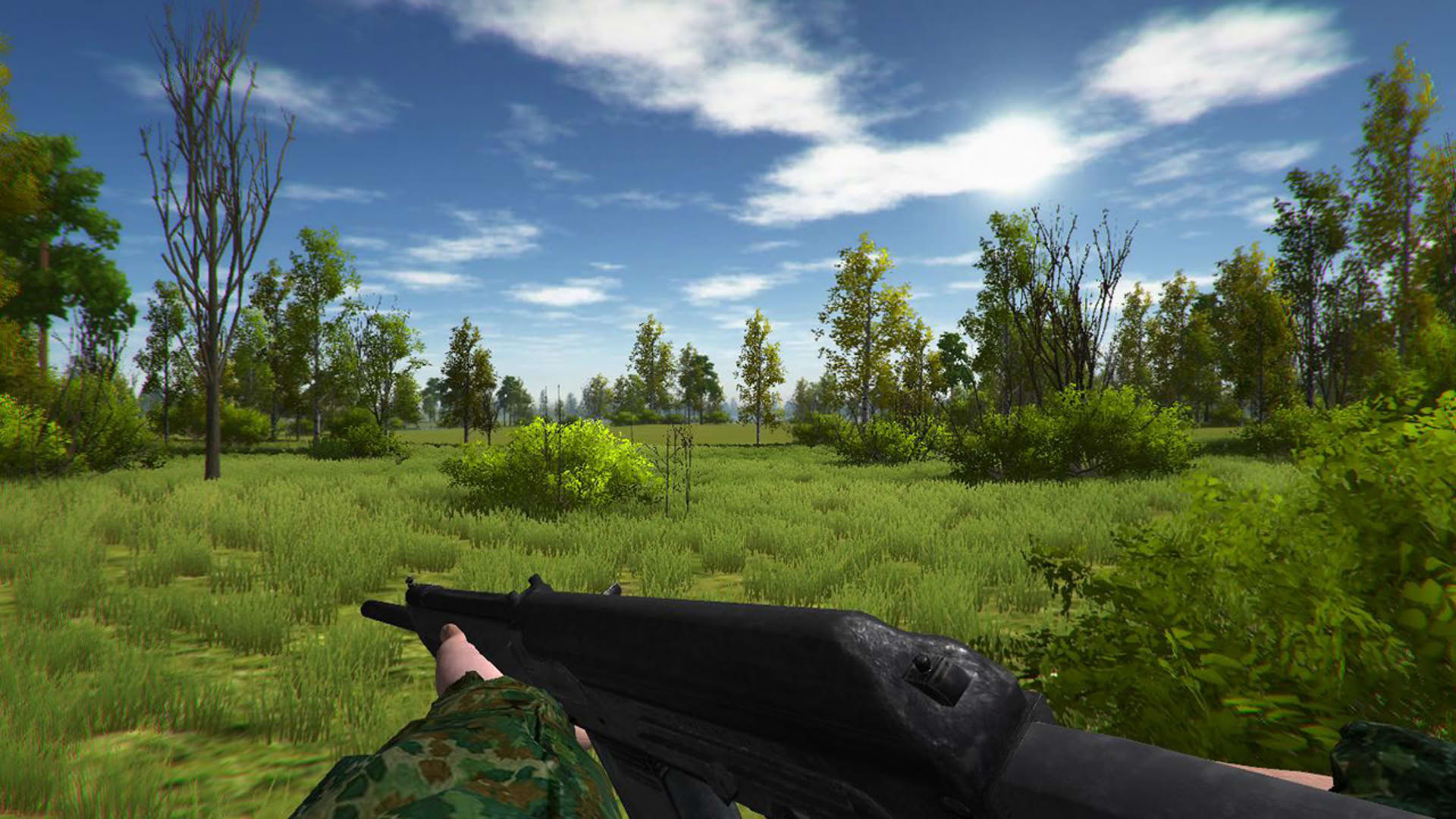 Screenshot for Duck Hunting