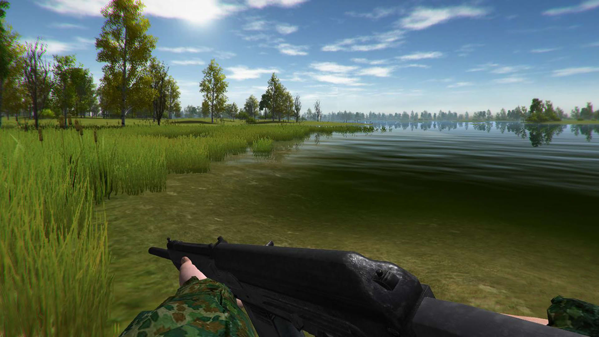 Screenshot for Duck Hunting