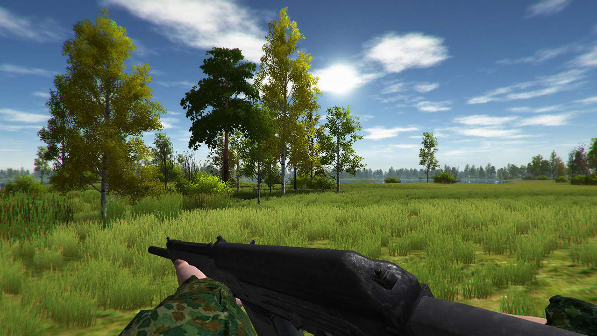 Screenshot for Duck Hunting