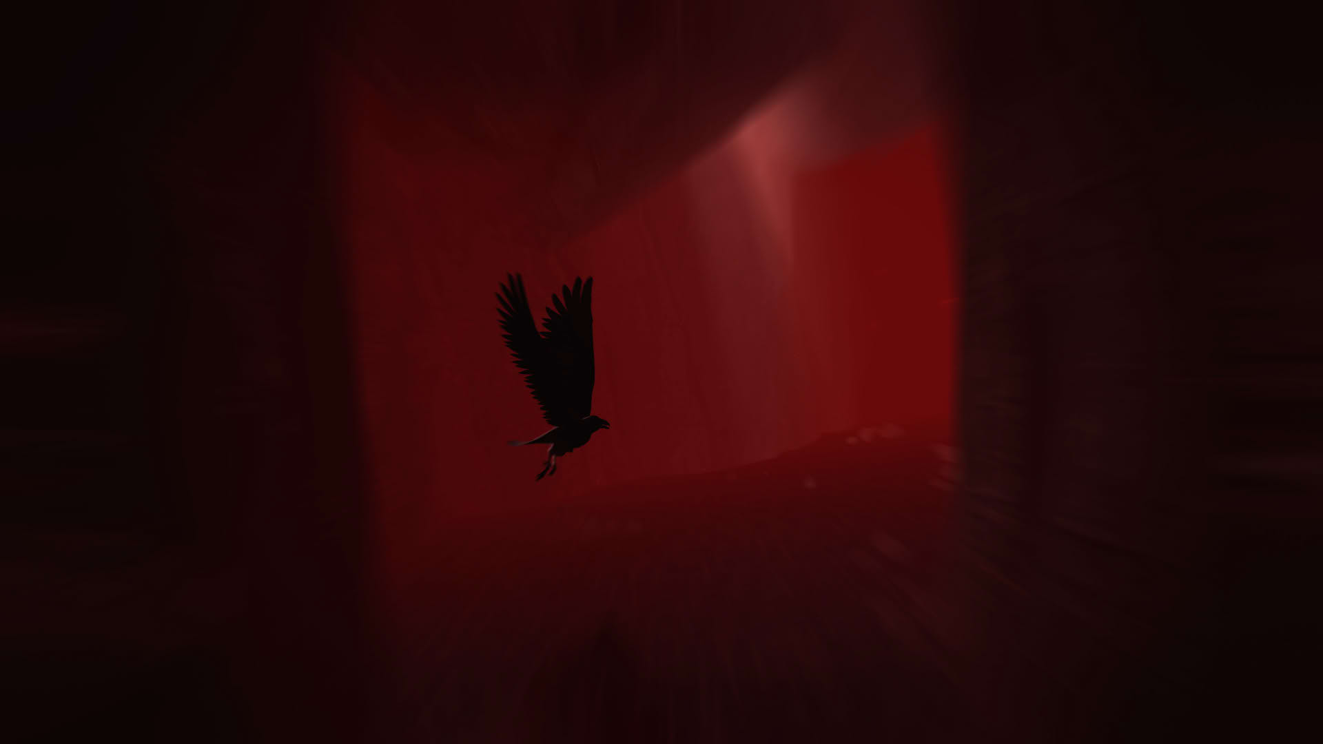 Screenshot for Rise of Insanity