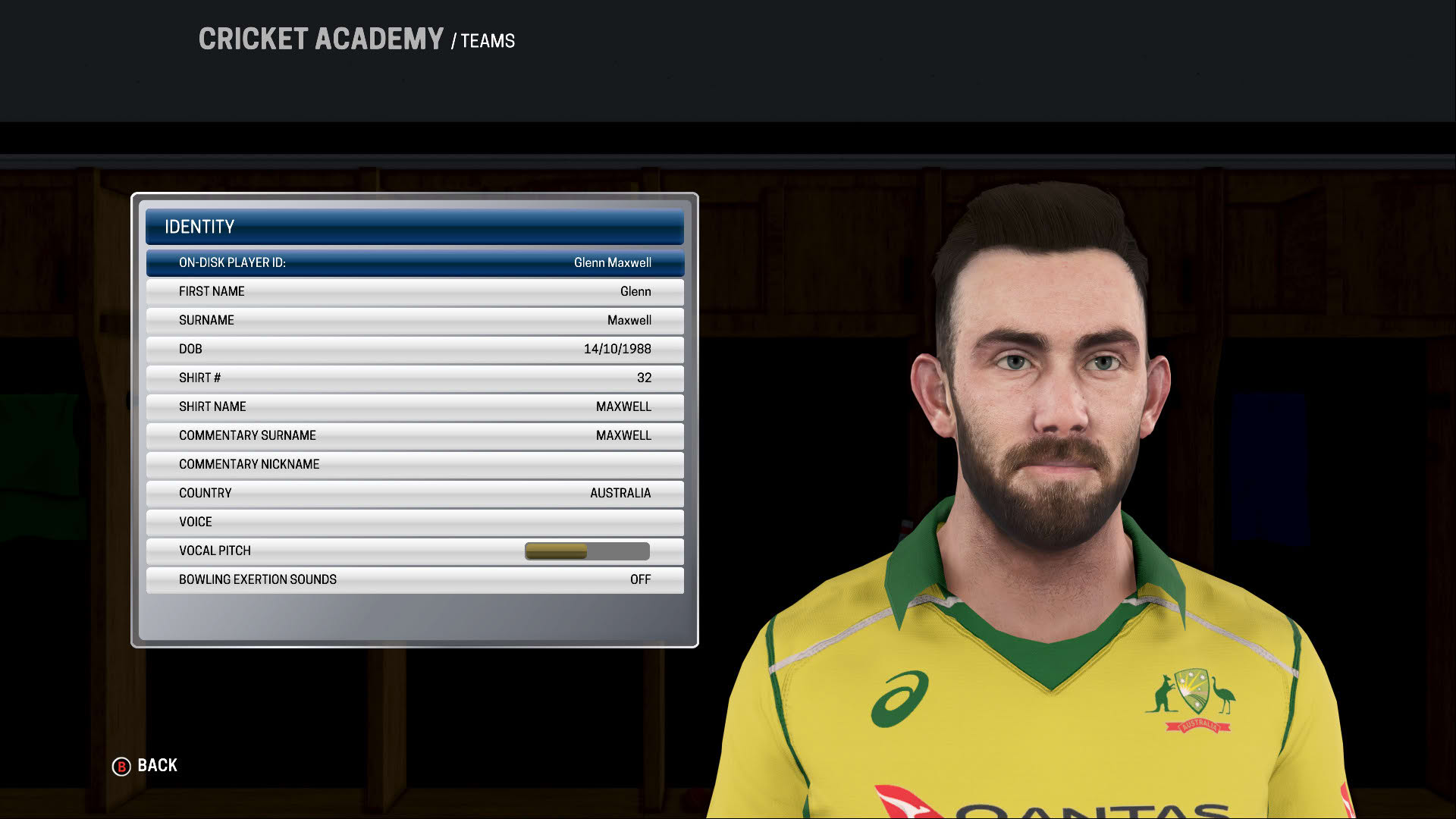 Screenshot for Ashes Cricket