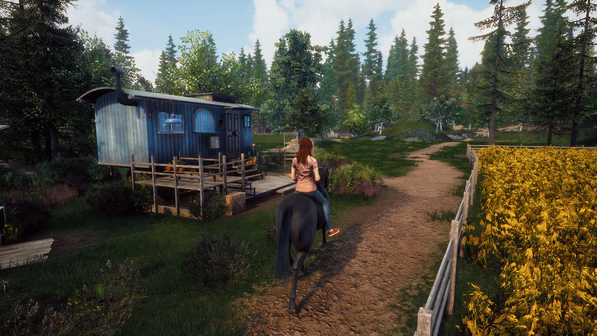 Screenshot for Windstorm: Start of a Great Friendship