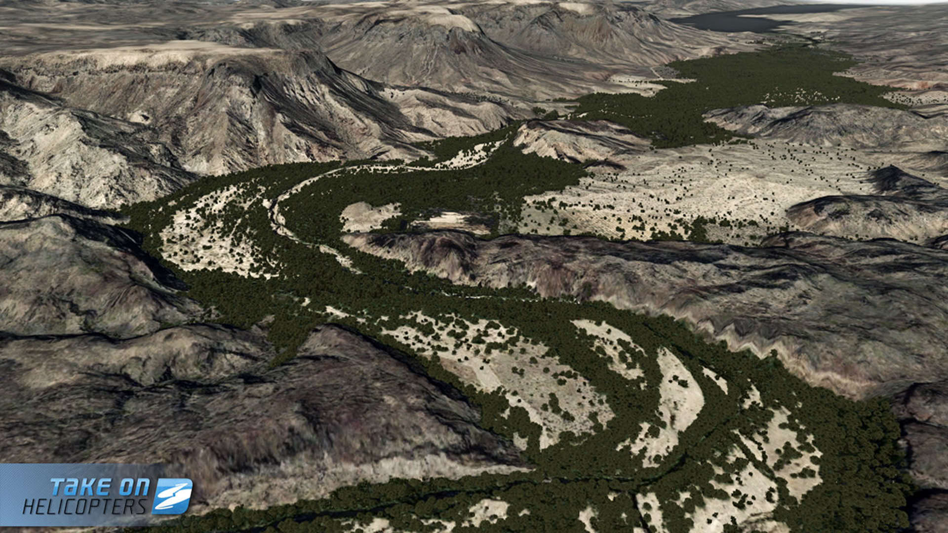 Screenshot for Take on Helicopters