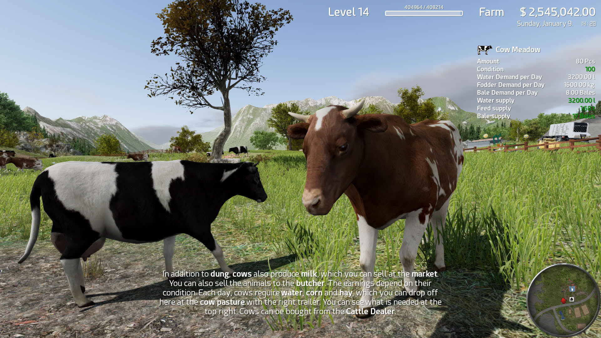 Screenshot for Professional Farmer: American Dream